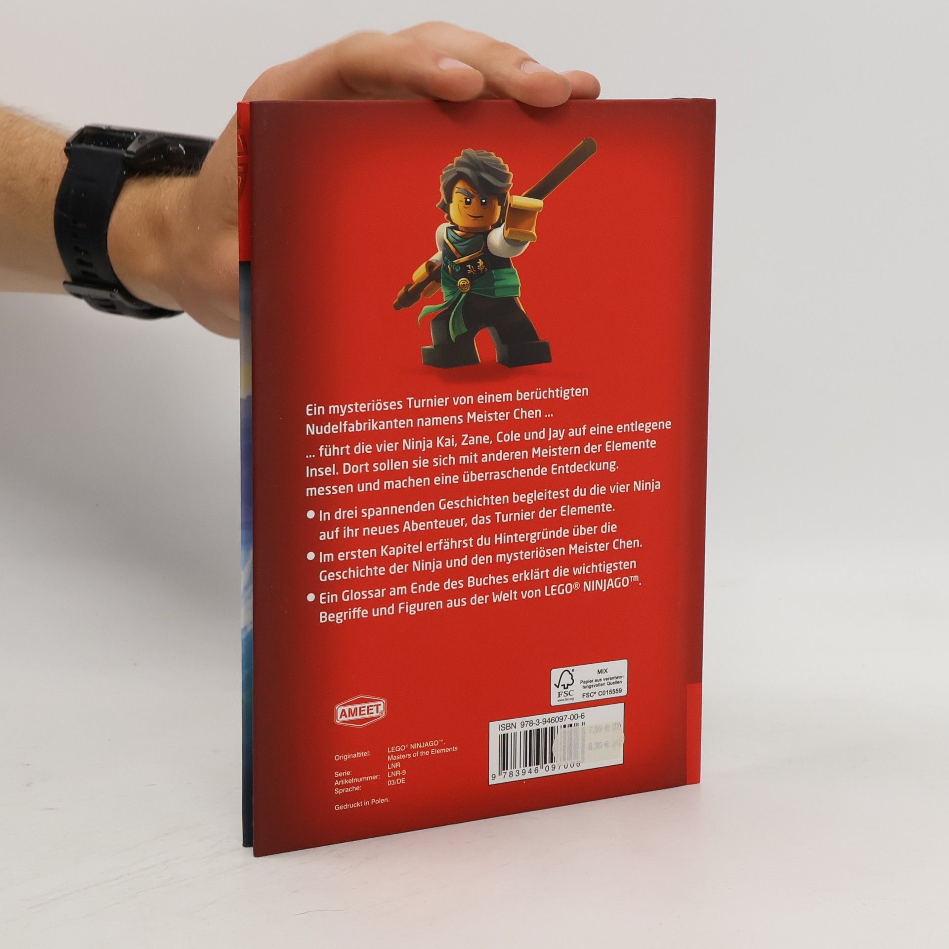 Greg Farshtey LEGO Ninjago Masters of Spinjitzu - Meister der Elemente