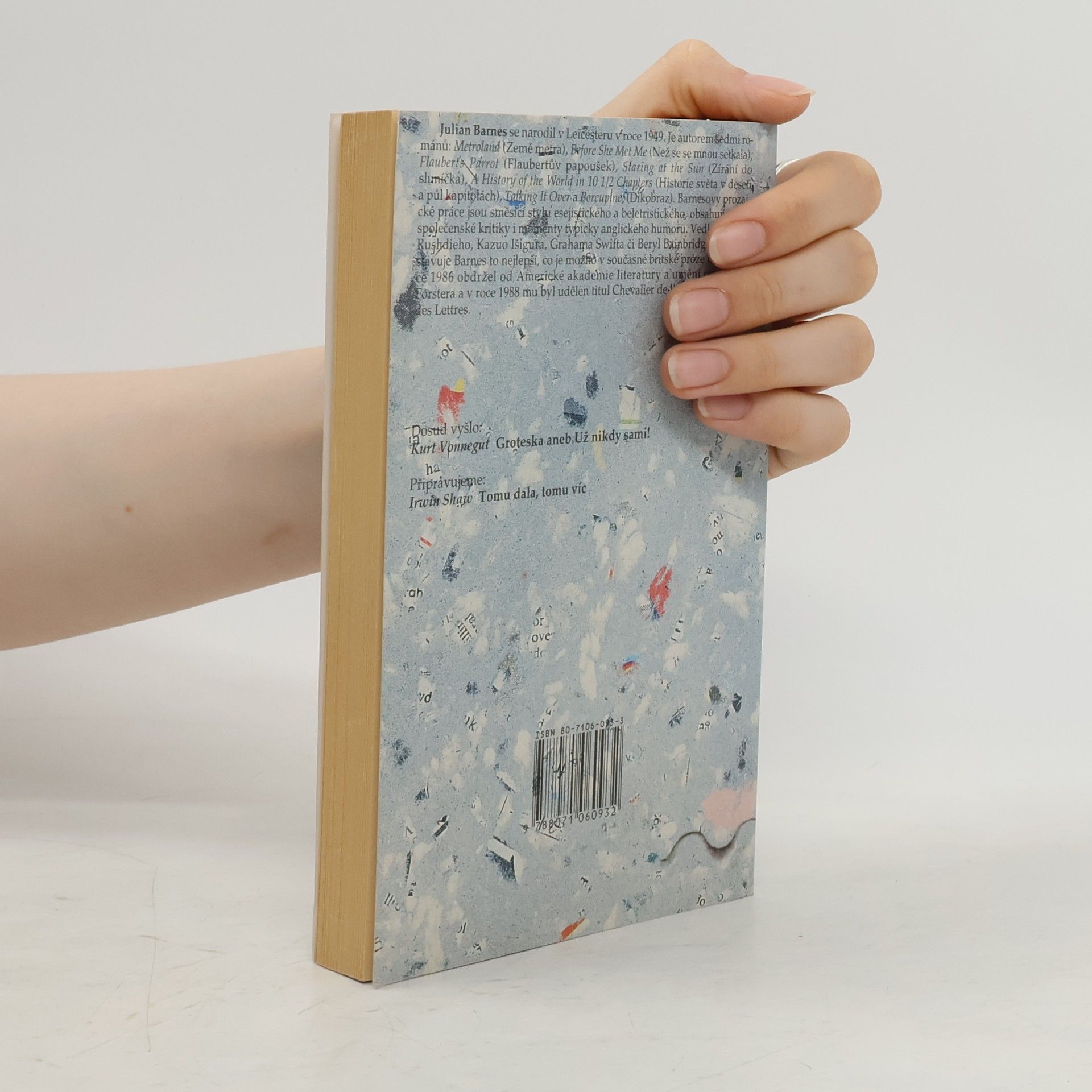 Julian Barnes Historie světa v 10 1/2 kapitolách