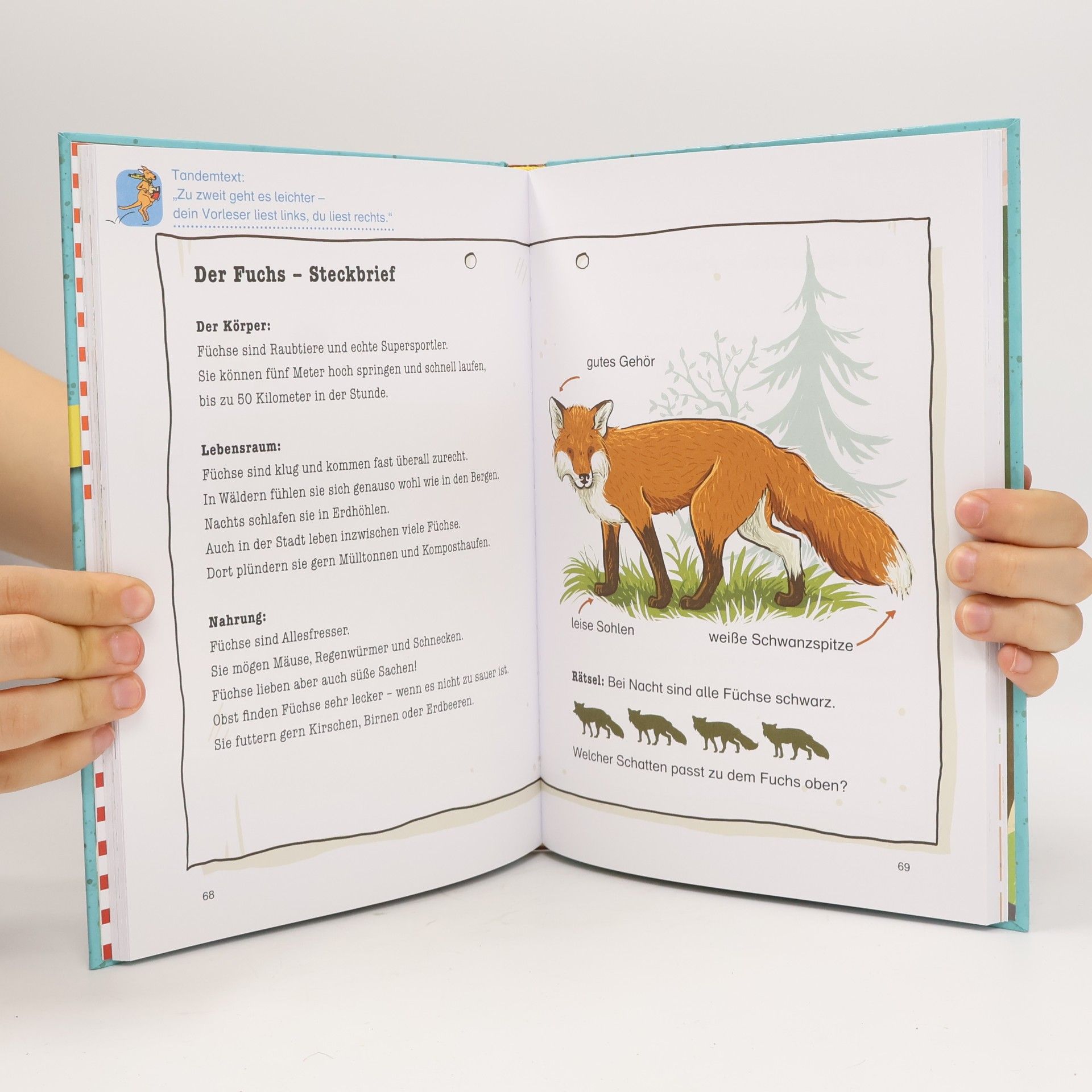 Margit Auer Die Schule der magischen Tiere