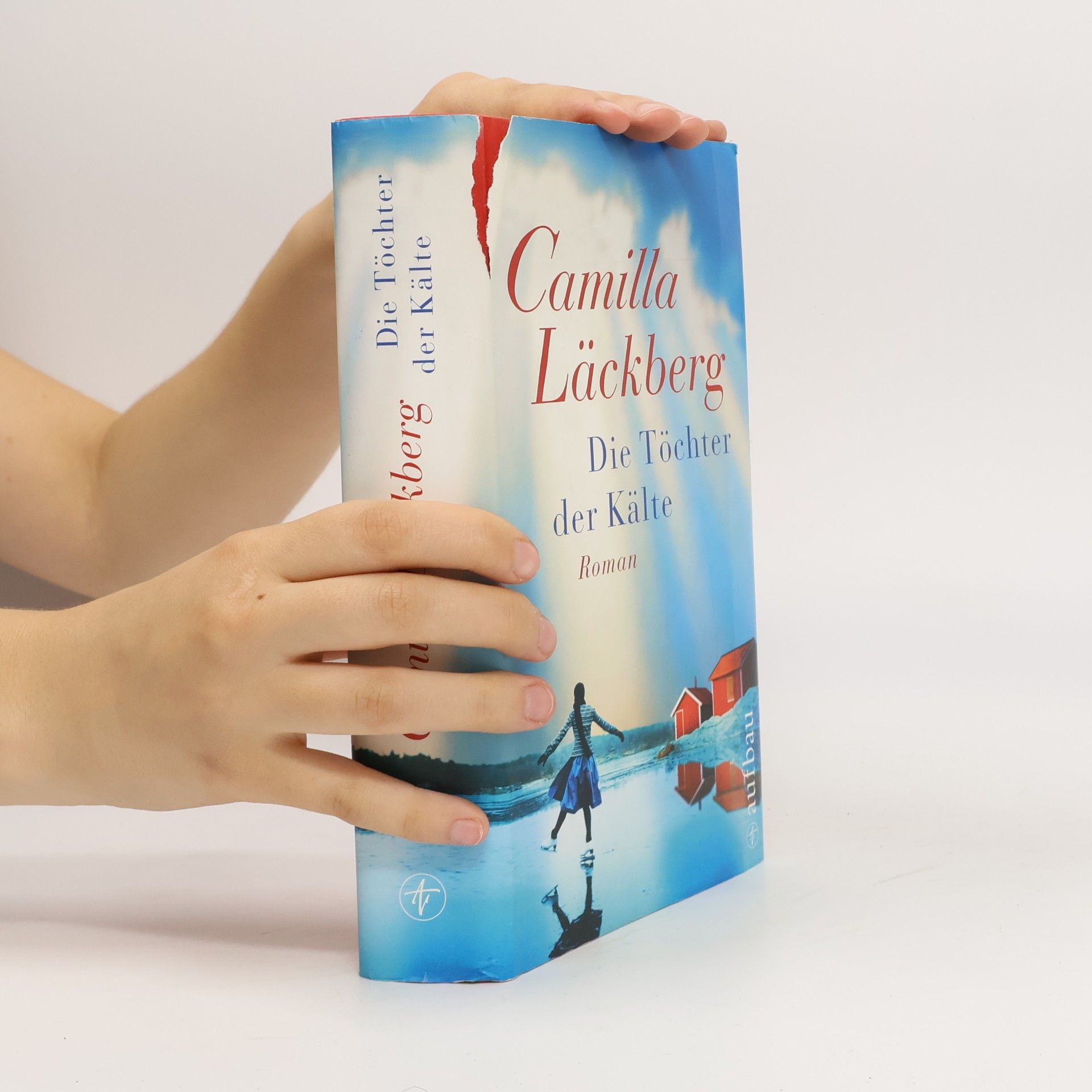Camilla Läckberg Die Töchter der Kälte