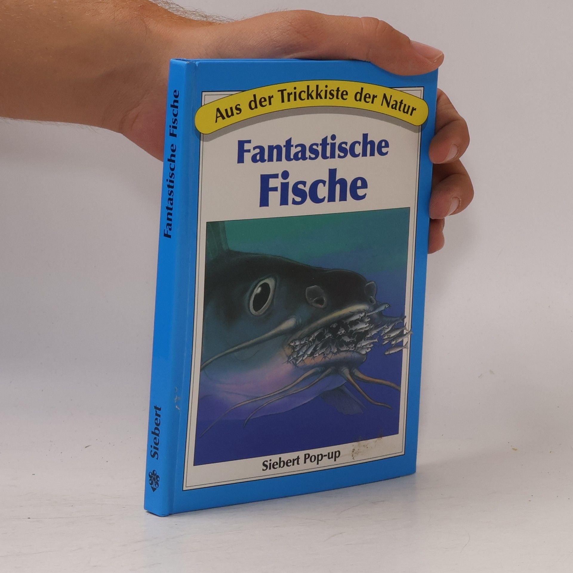 Autorenkollektiv Fantastische Fische