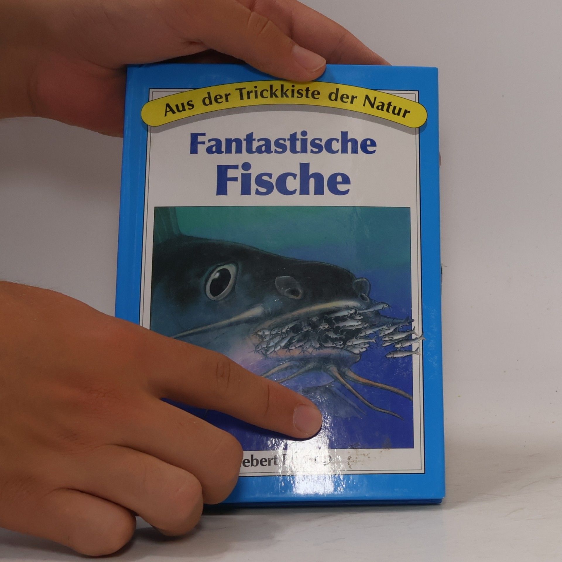 Autorenkollektiv Fantastische Fische