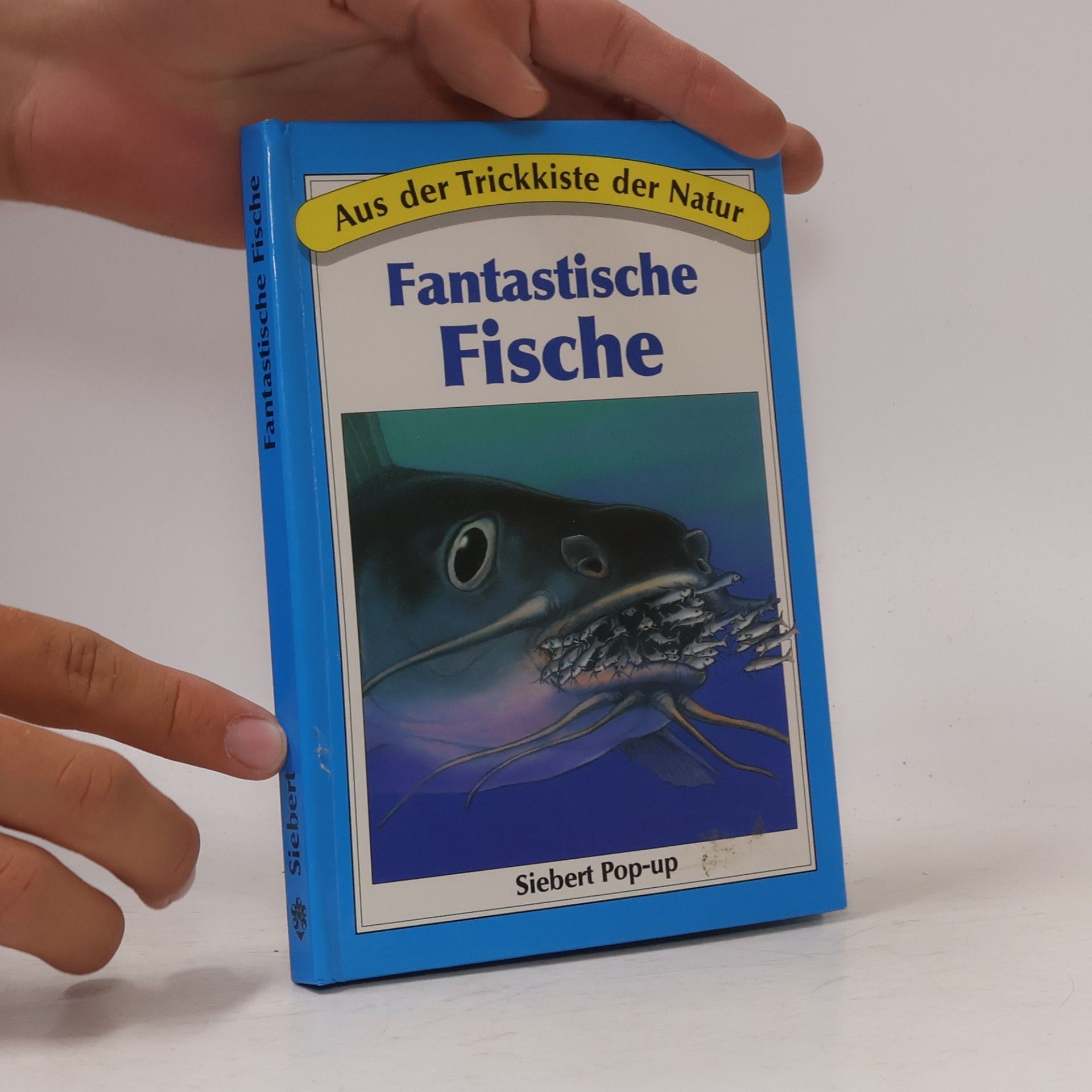 Autorenkollektiv Fantastische Fische