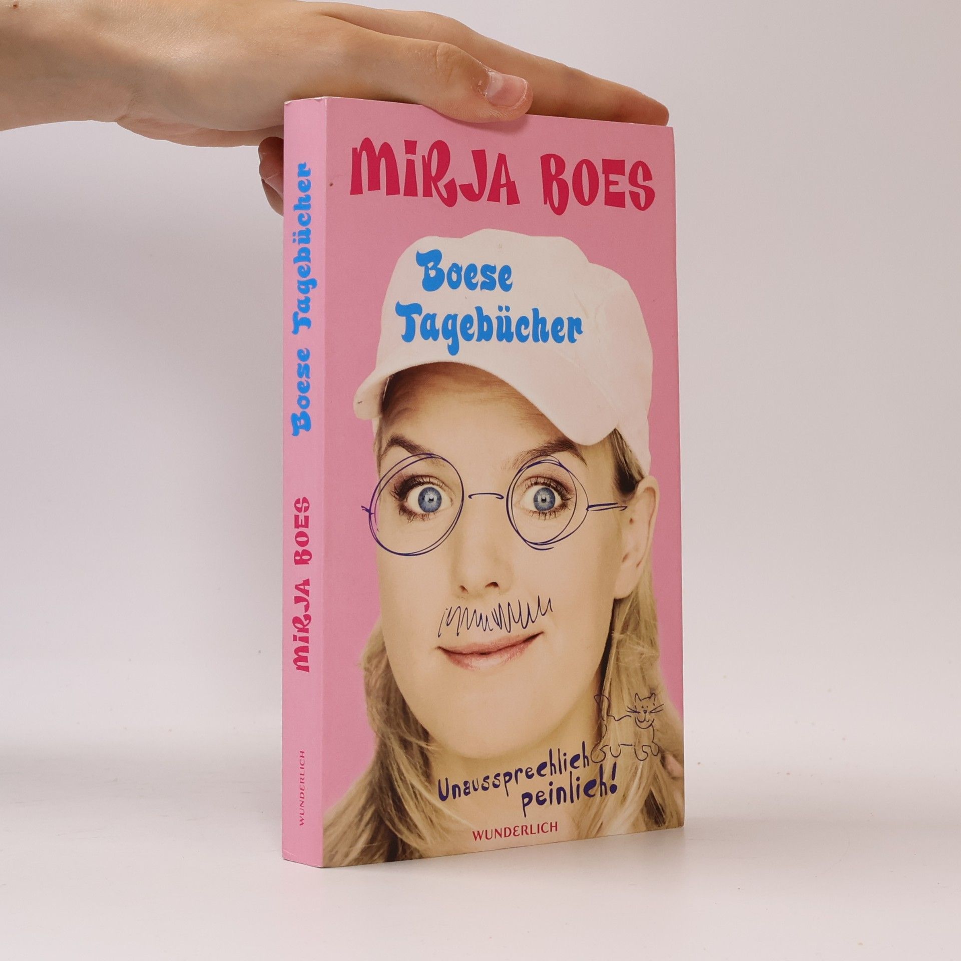 Mirja Boes Boese Tagebücher