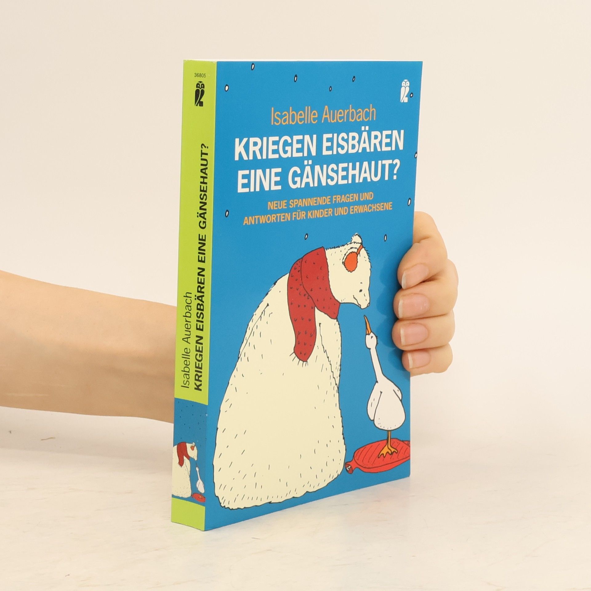 Isabelle Auerbach Kriegen Eisbären eine Gänsehaut?
