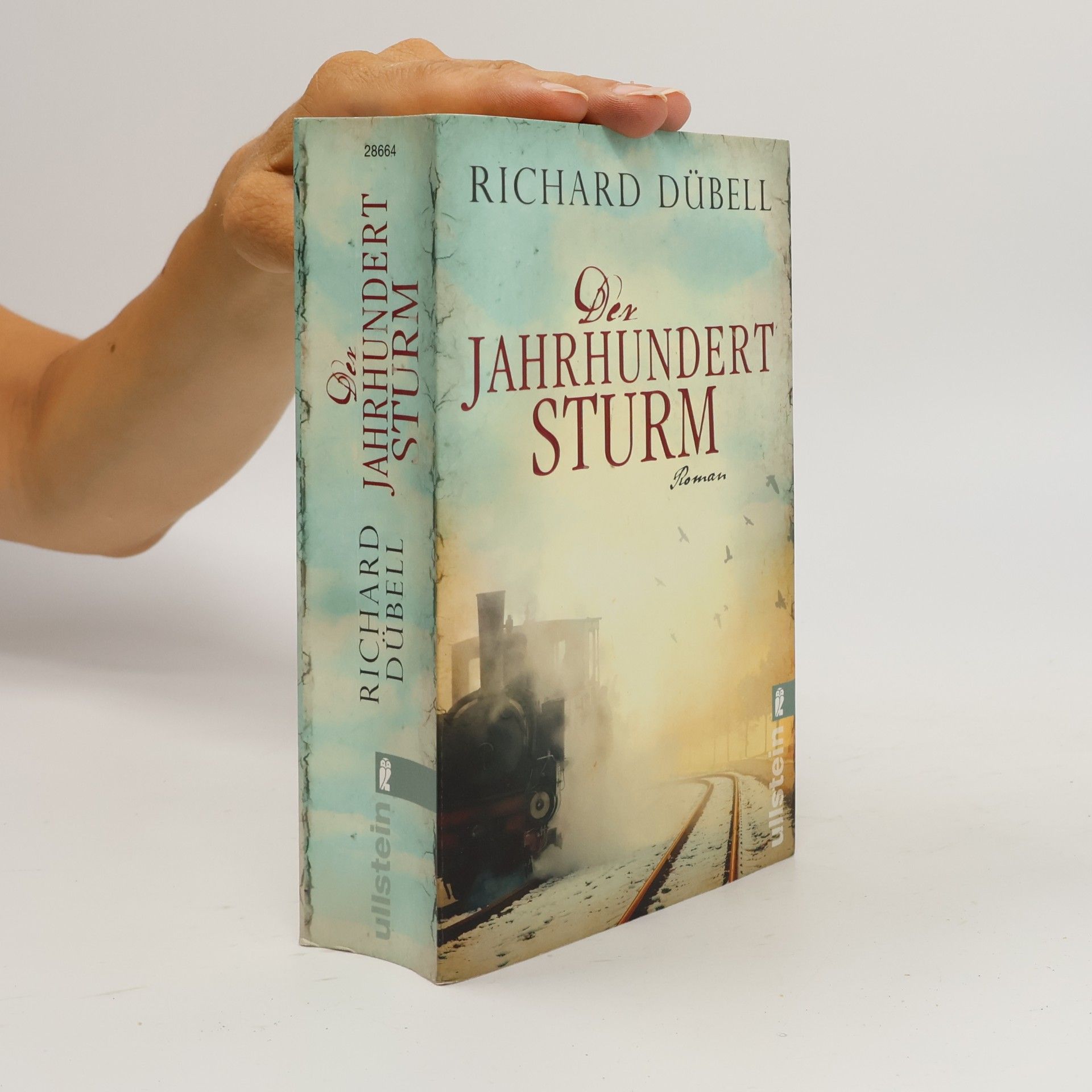 Richard Dübell Den Jahrhundertsturm