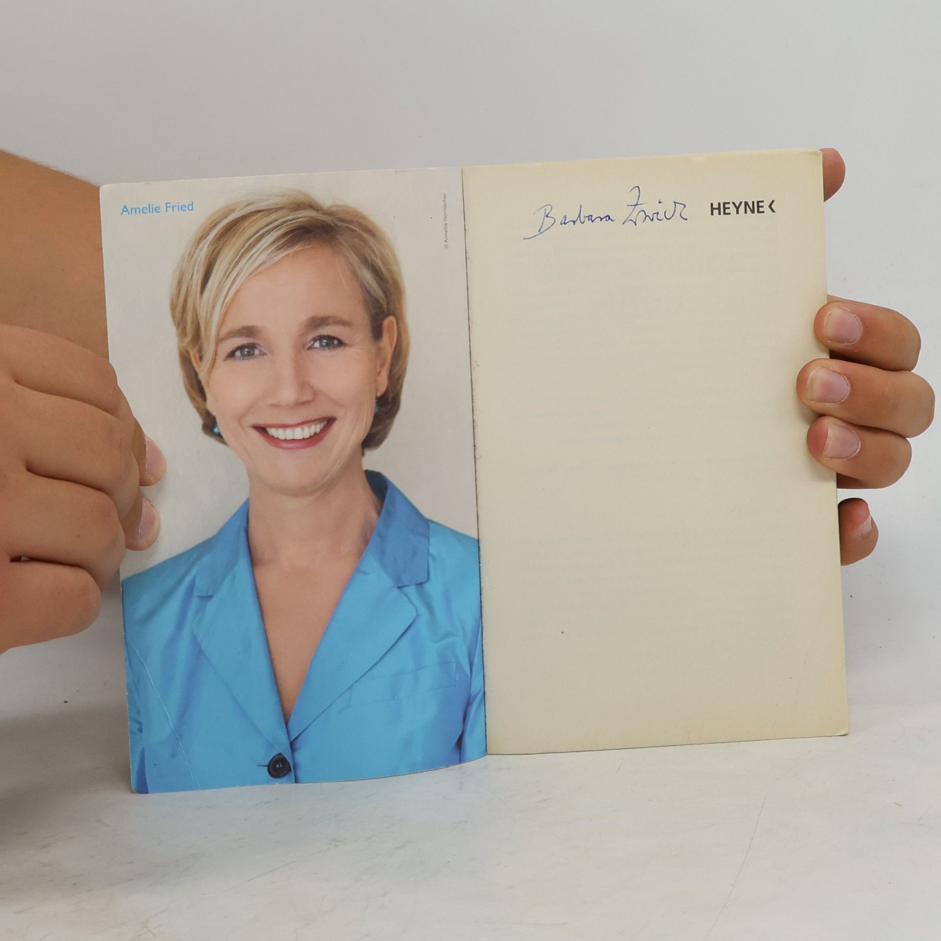 Amelie Fried Eine windige affäre