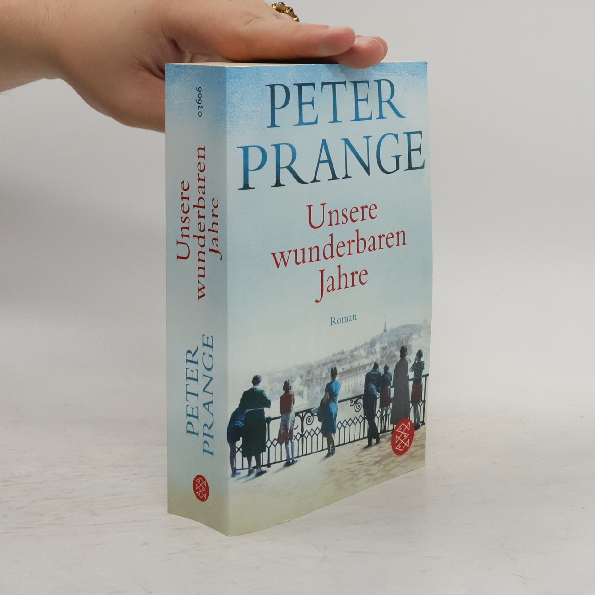 Peter Prange Unsere wunderbaren Jahre