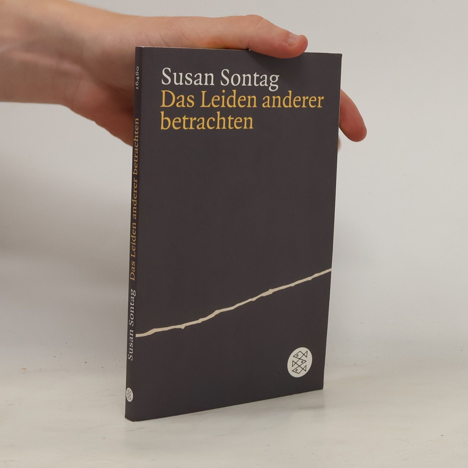 Susan Sontag Das Leiden anderer betrachten