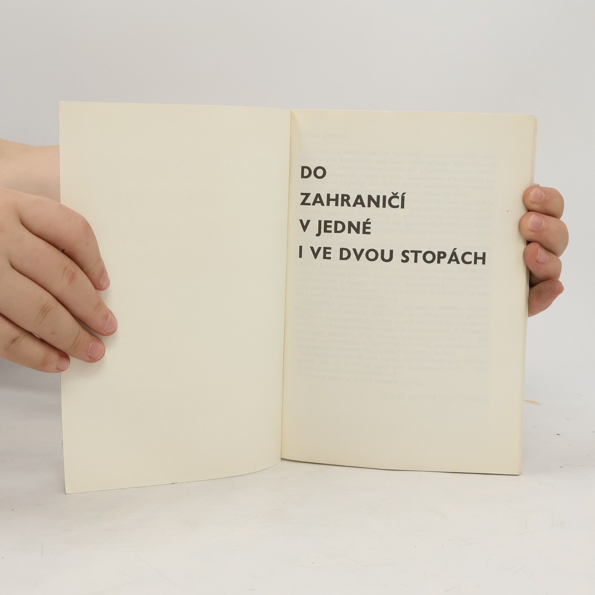 Autorenkollektiv Do zahraničí v jedné i ve dvou stopách