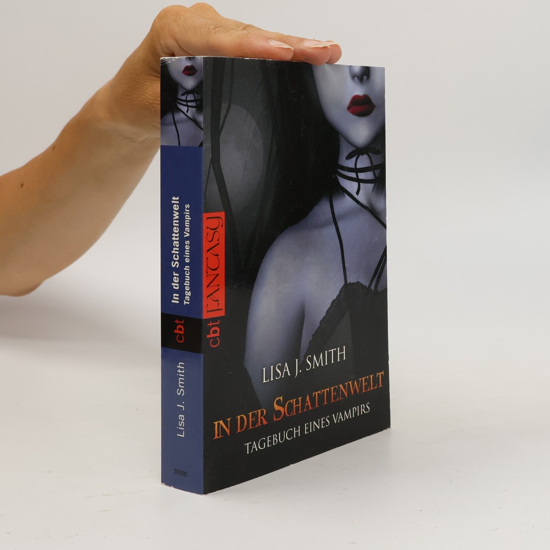 L. J. Smith Tagebuch eines Vampirs 4