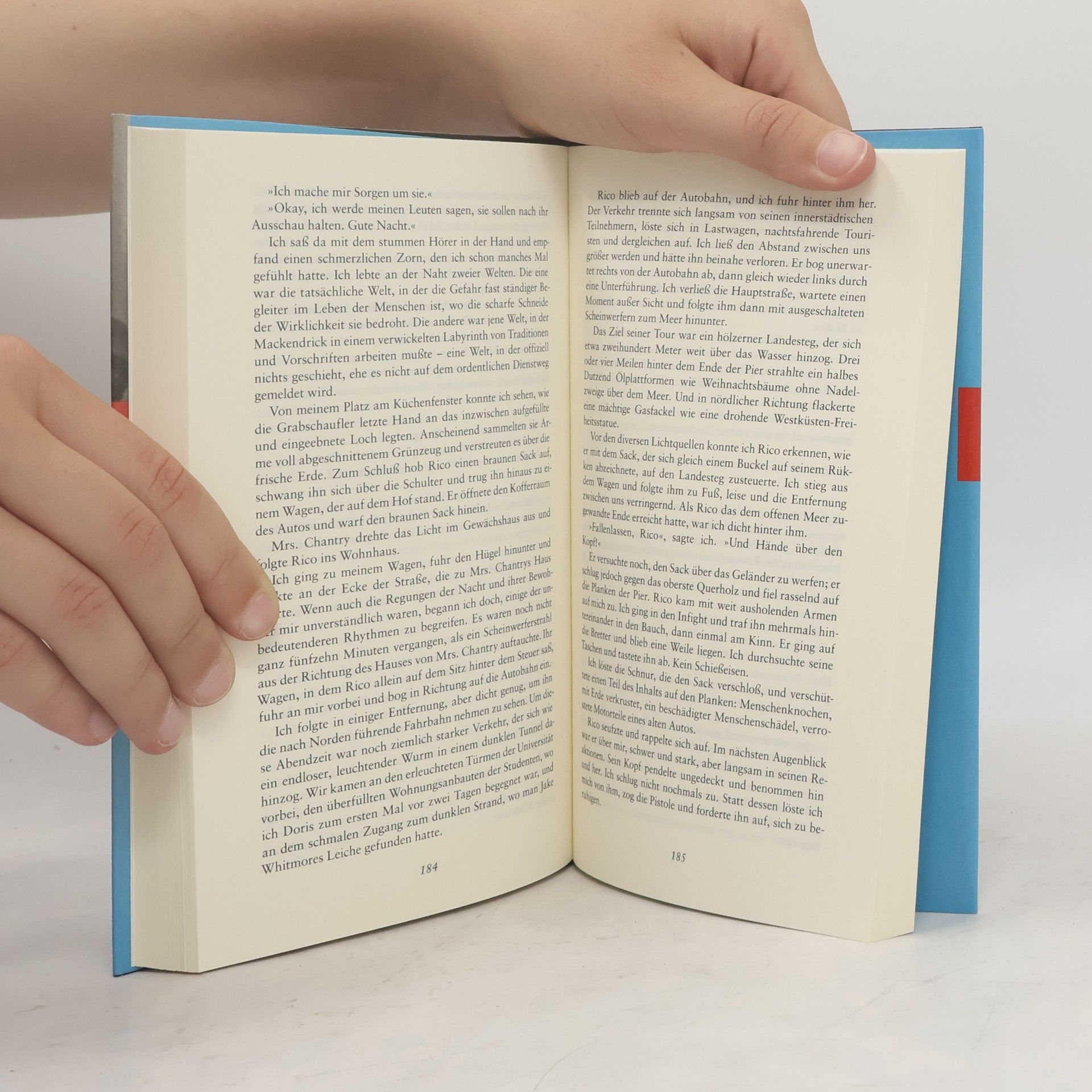 Ross Macdonald Der blaue Hammer