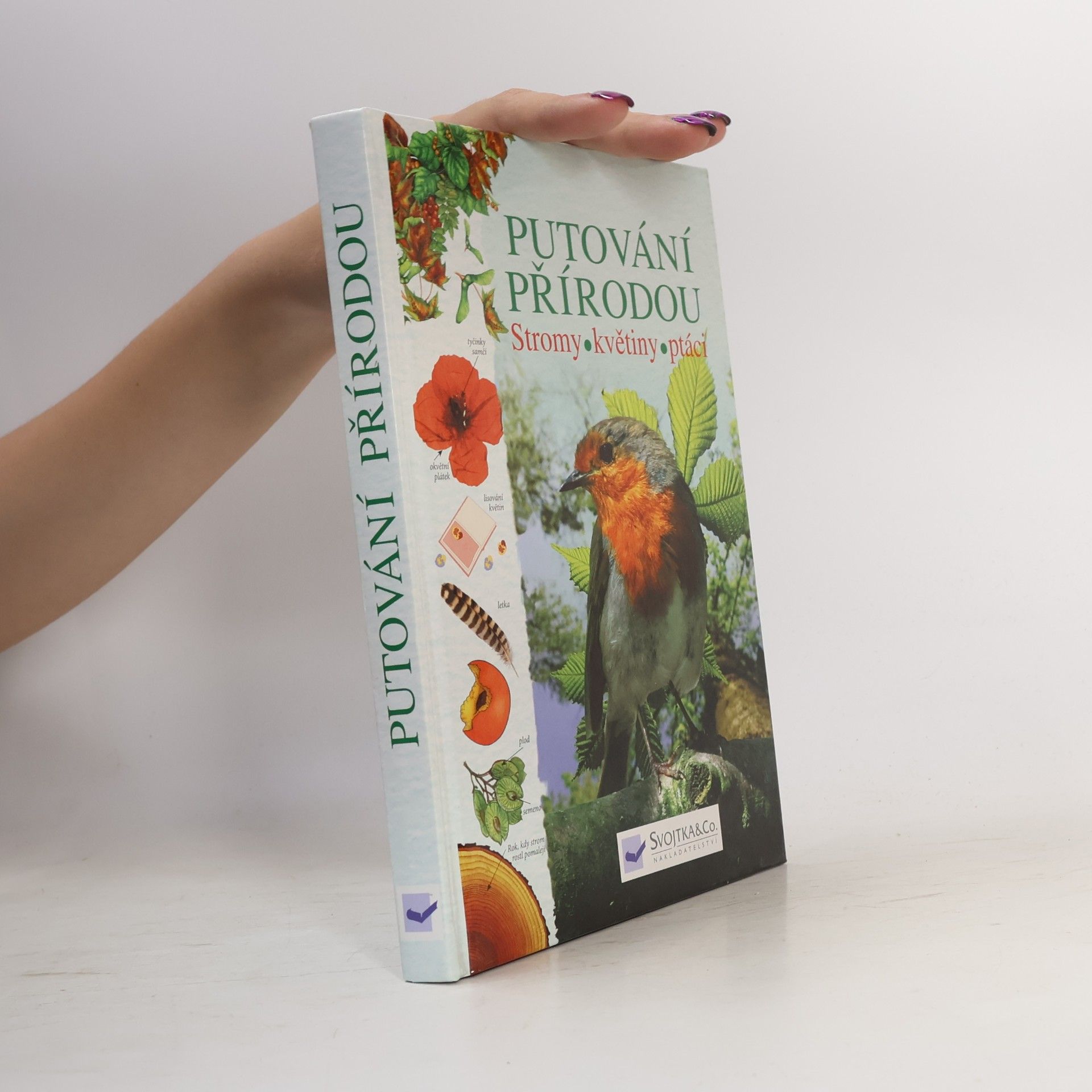 Autorenkollektiv Putování přírodou: Stromy, květiny, ptáci