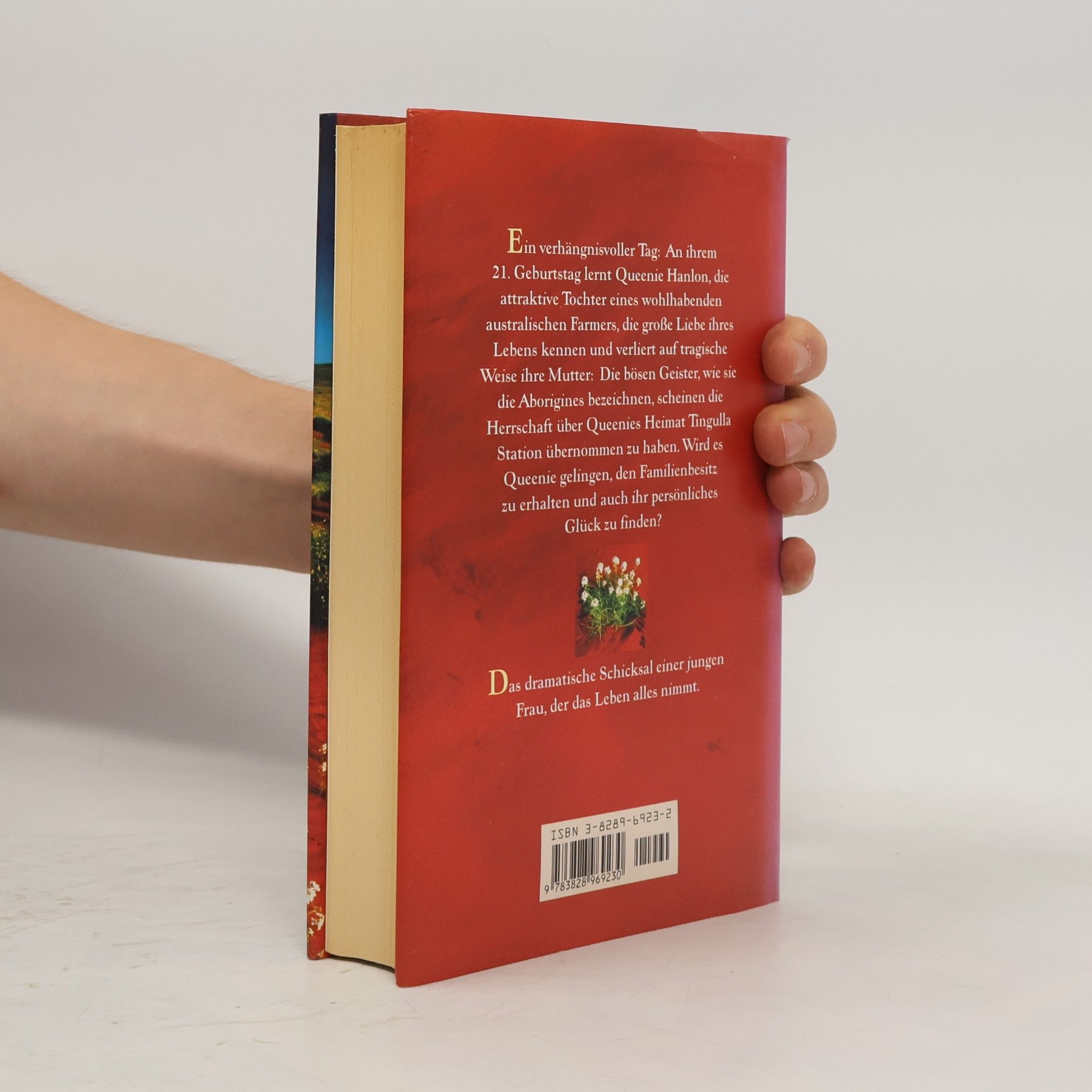 Di Morrissey Der Duft der roten Erde