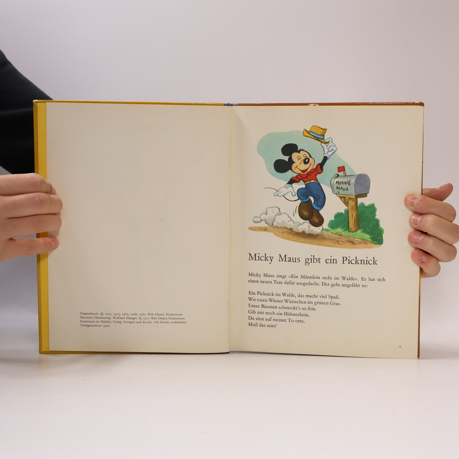 Autorenkollektiv Micky Maus. Das grosse Micky Maus Buch