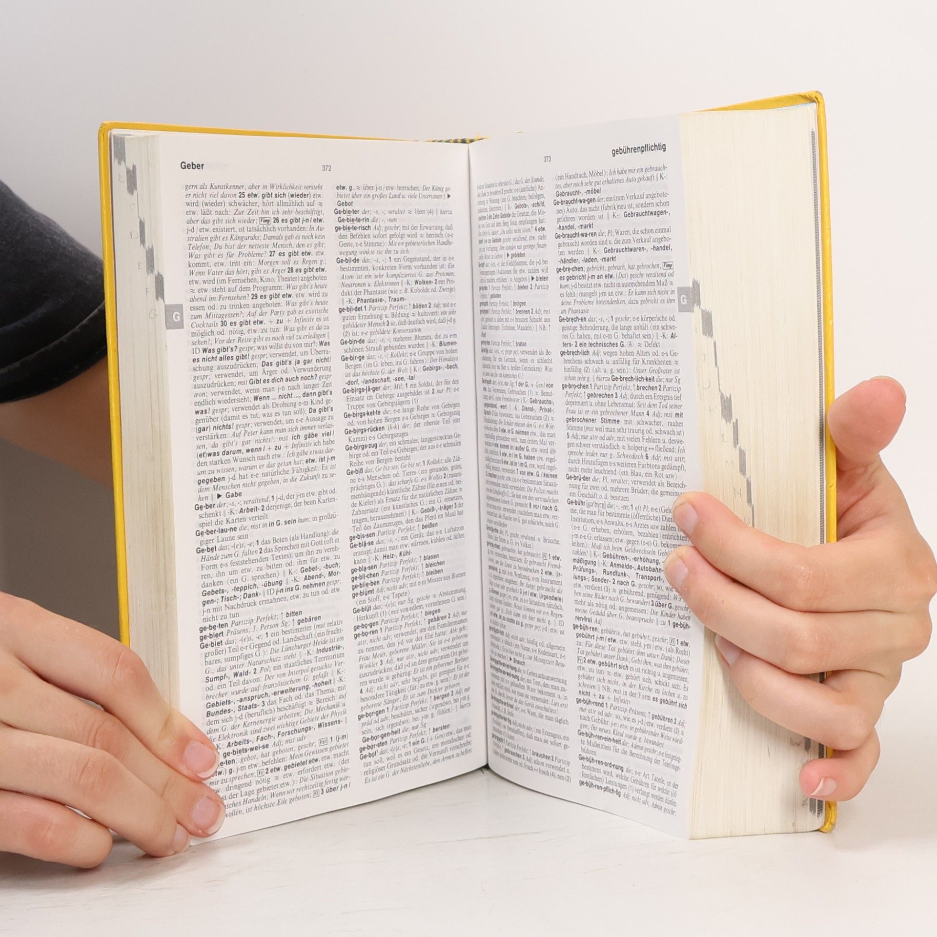 Various authors Langenscheidts Großwörterbuch Deutsch als Fremdsprache