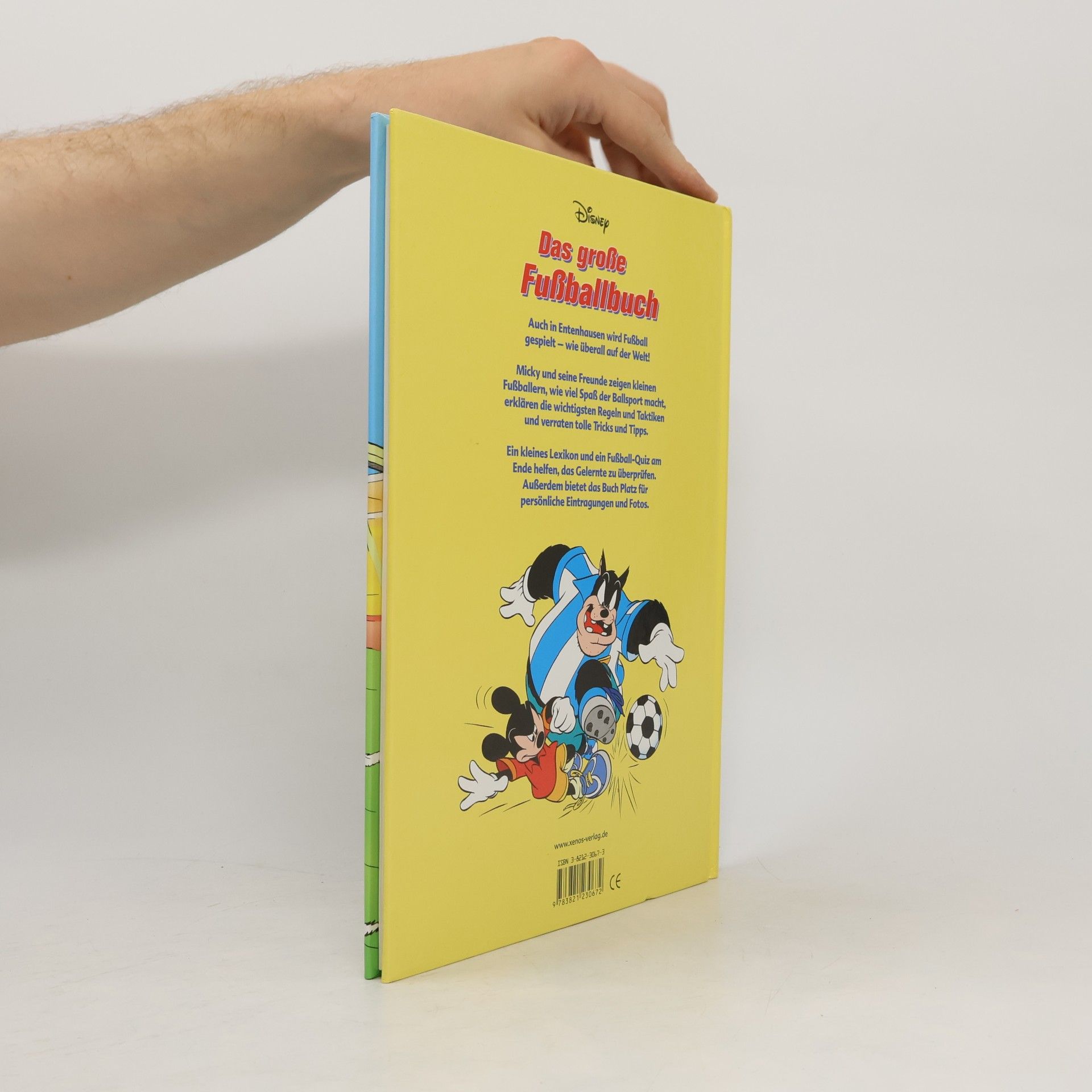 Kolektiv autorů Das große Fußballbuch