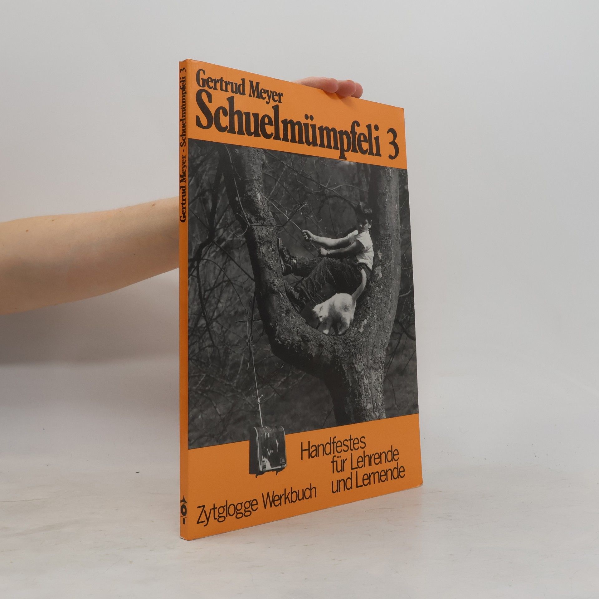 Gertrud Meyer Zytglogge Werkbücher - 3: Schuelmümpfeli
