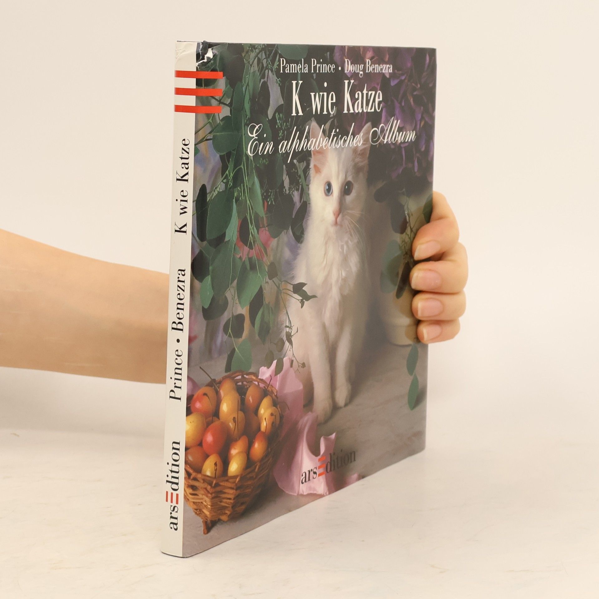 Autorenkollektiv K wie Katze