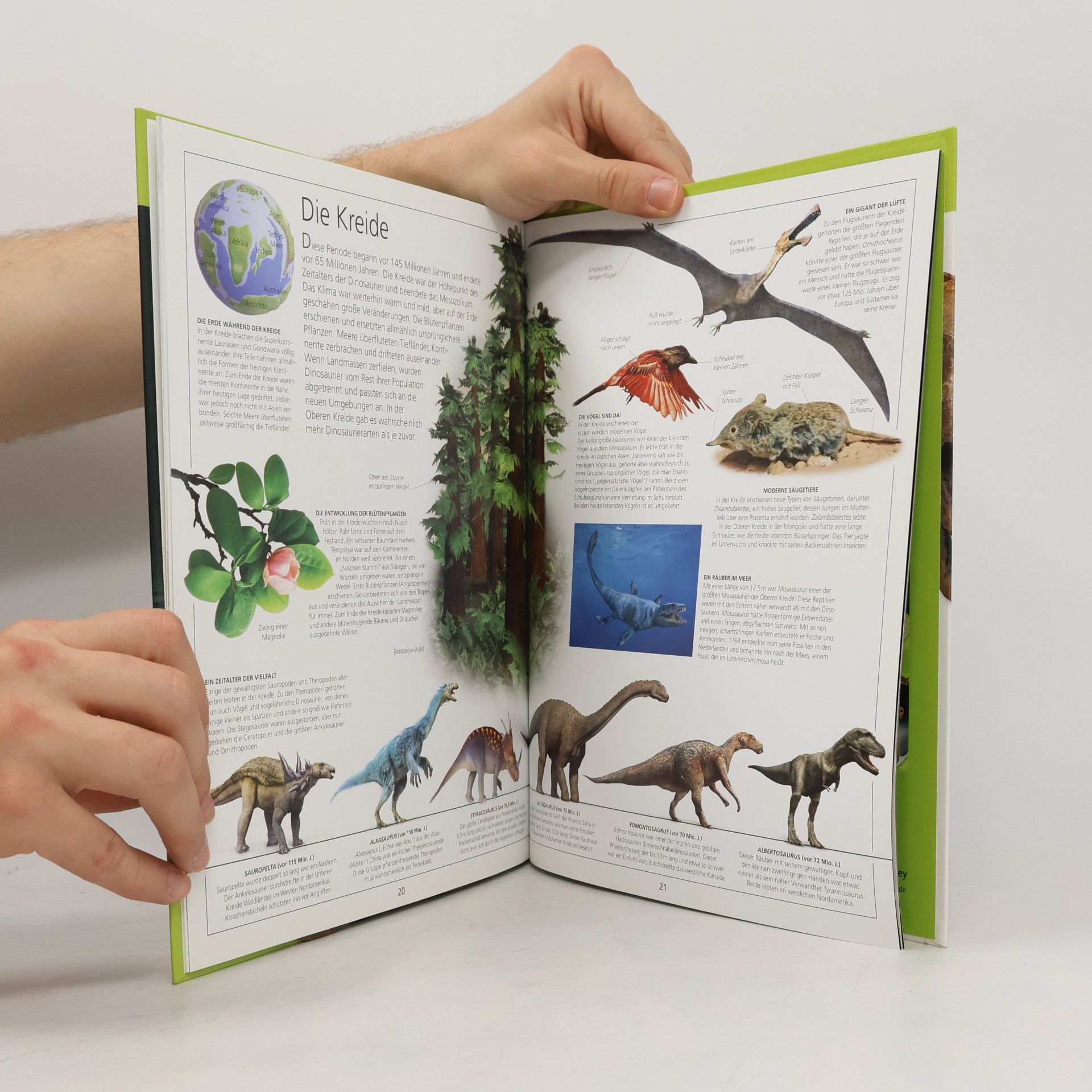 Kolektív autorov Dinosaurier