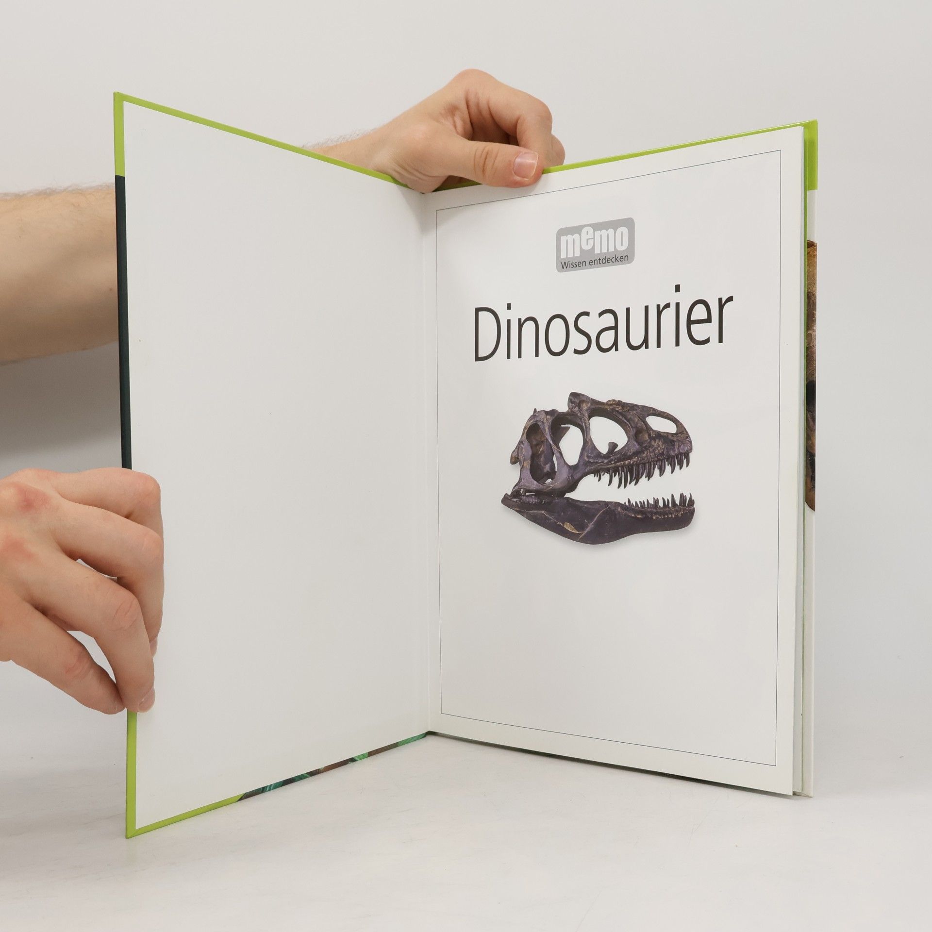 Kolektív autorov Dinosaurier