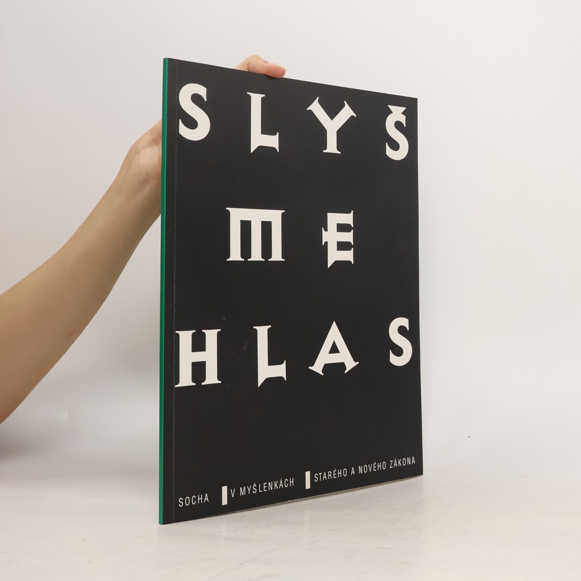 kolektiv Slyšme hlas
