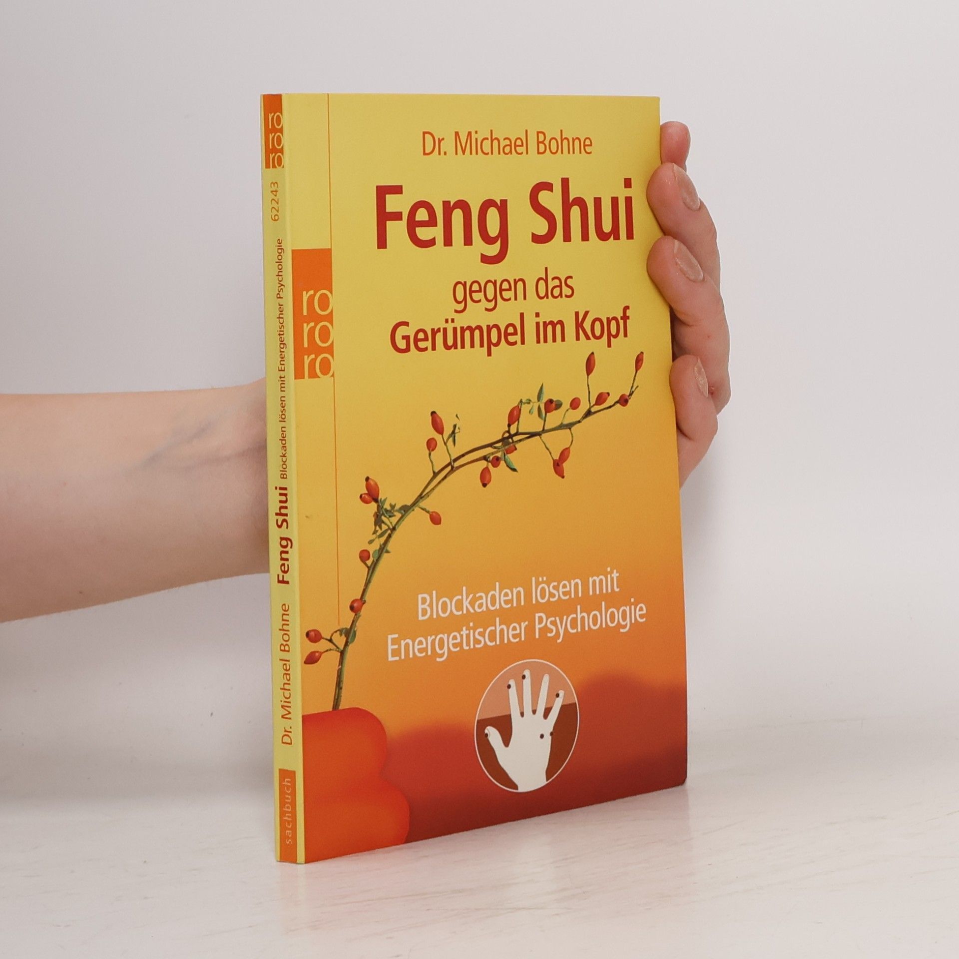 Michael Bohne Feng-Shui gegen das Gerümpel im Kopf