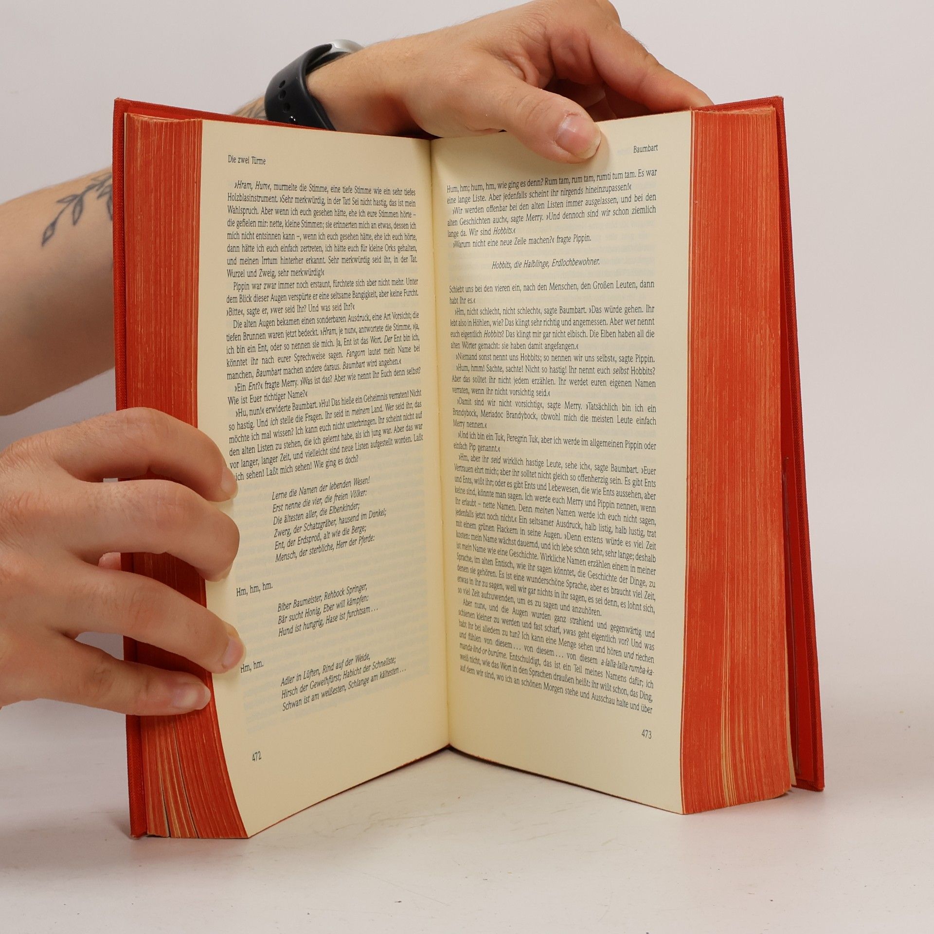 J. R. R. Tolkien Der Herr der Ringe