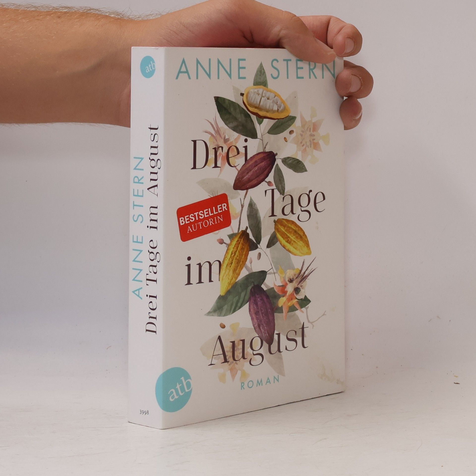 Anne Stern Drei Tage im August