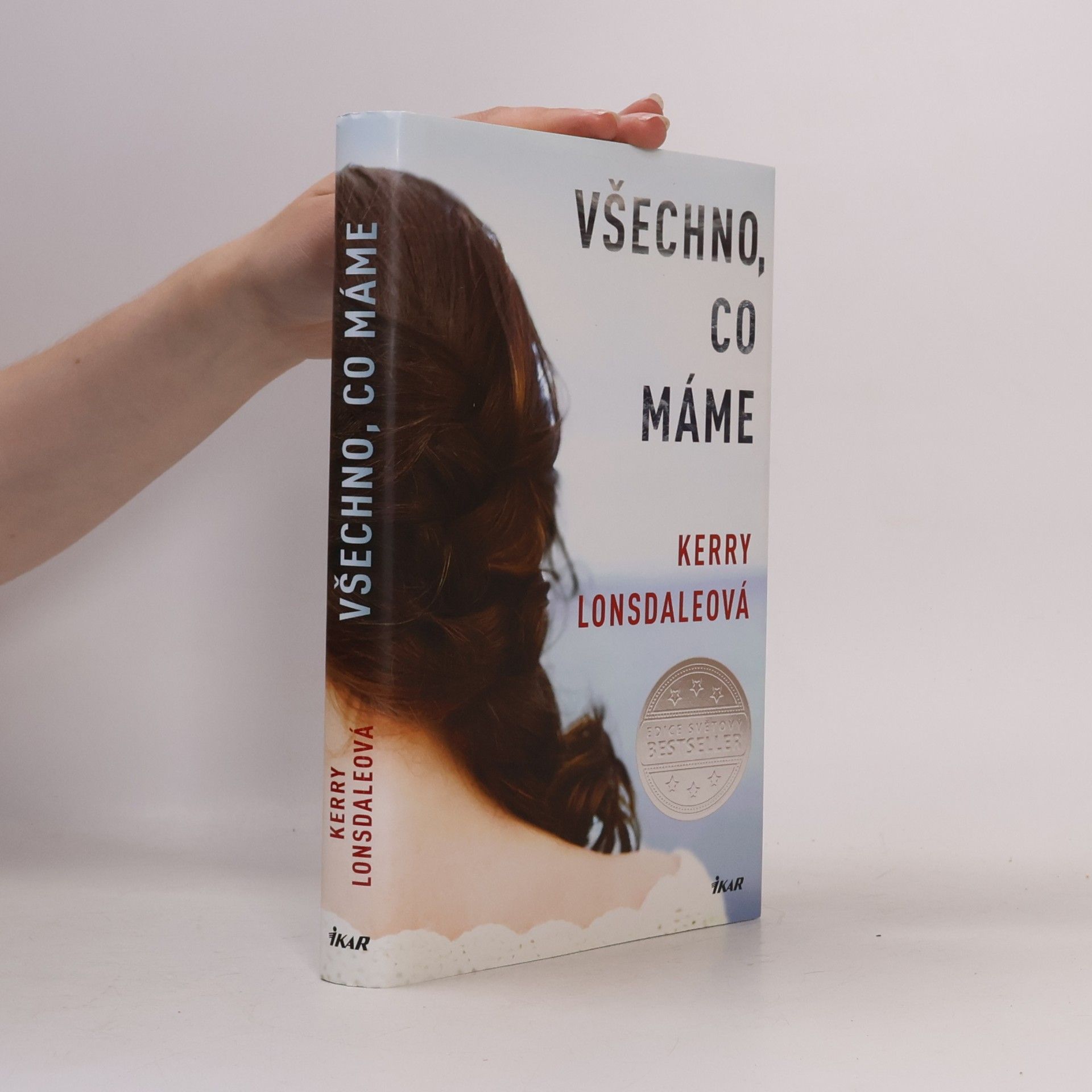 Kerry Lonsdale Všechno, co máme