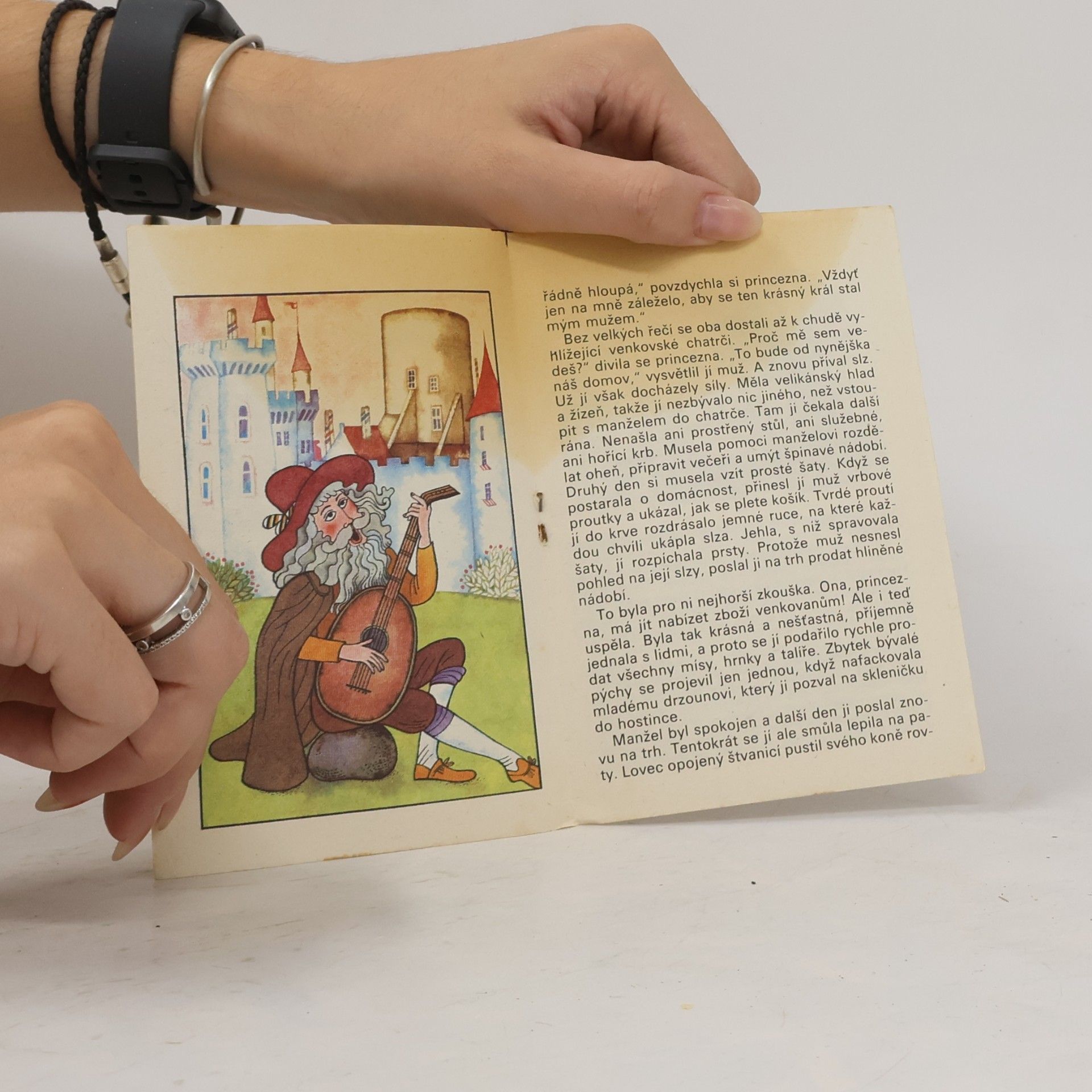 Autorenkollektiv Nafoukaná princezna a král Kozí bradka