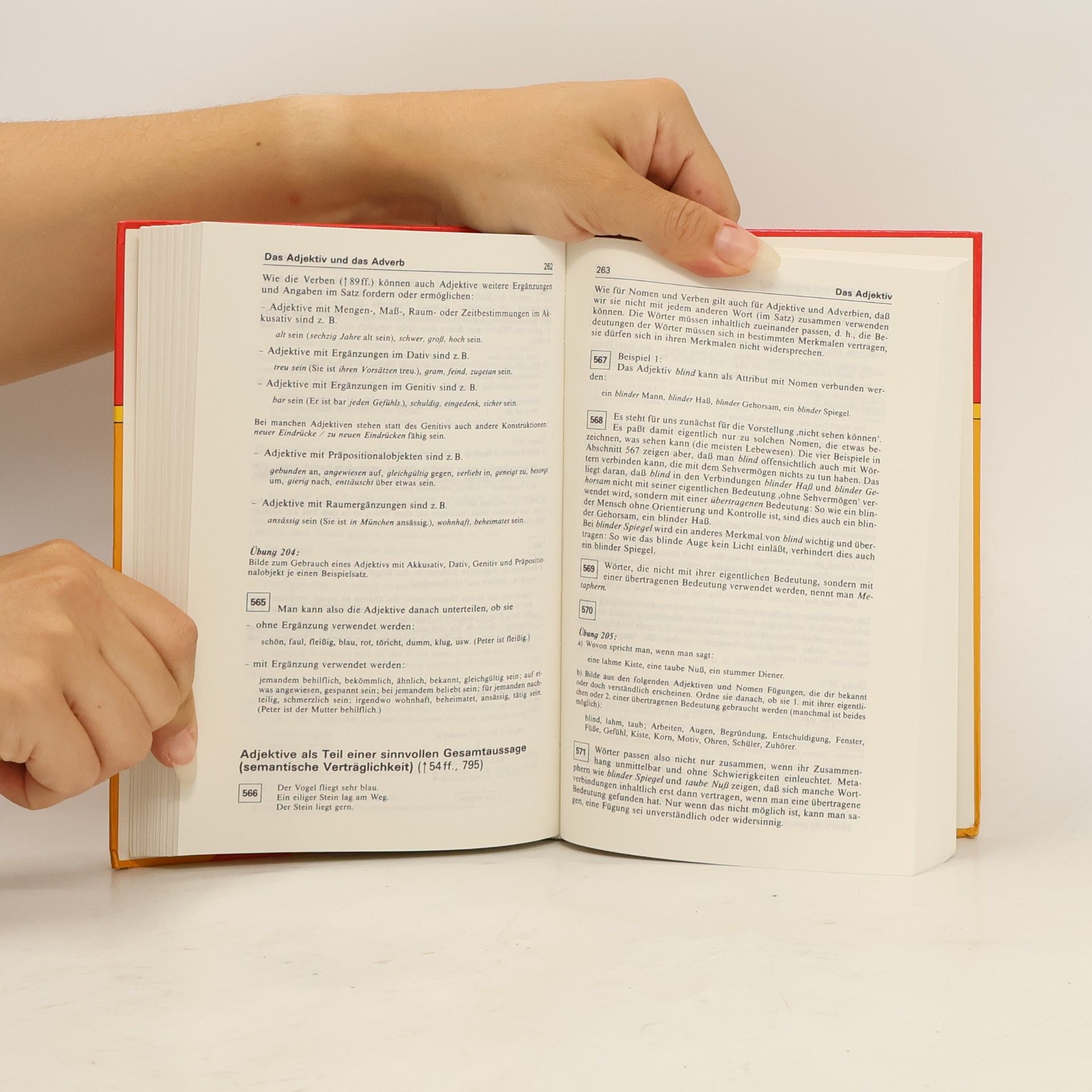 Dorothea Ader Schülerduden Grammatik