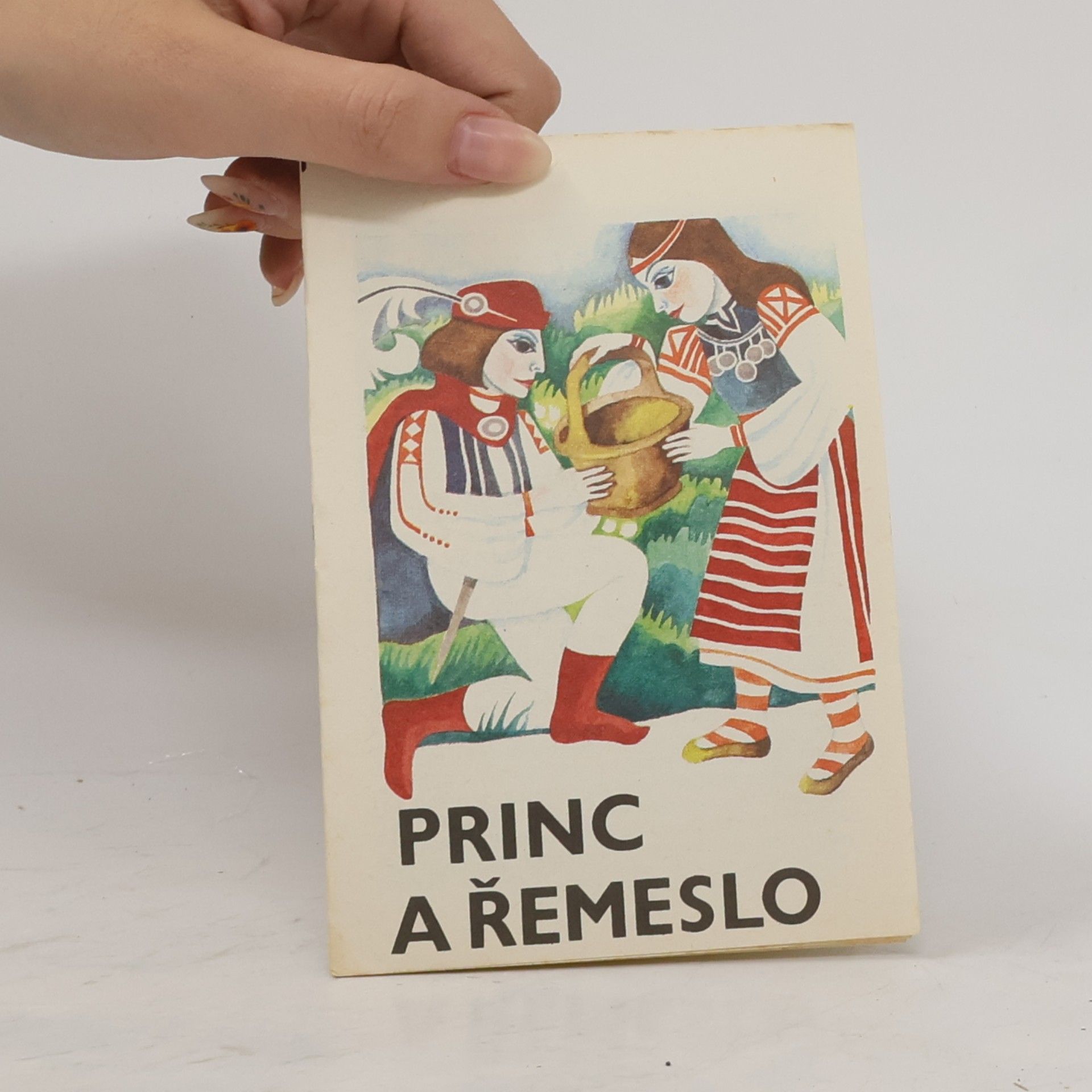 Autorenkollektiv Princ a řemeslo