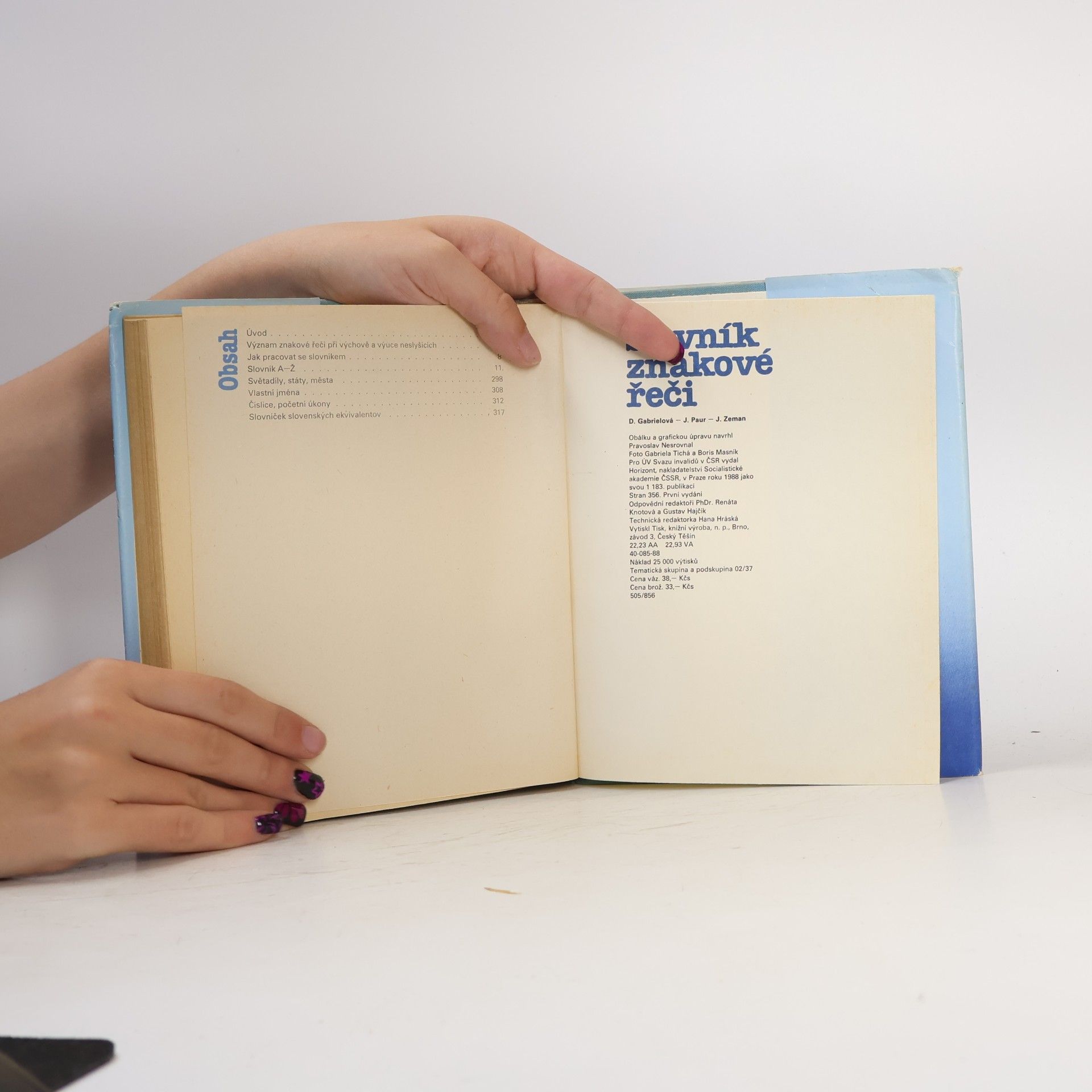 Autorenkollektiv Slovník znakové řeči