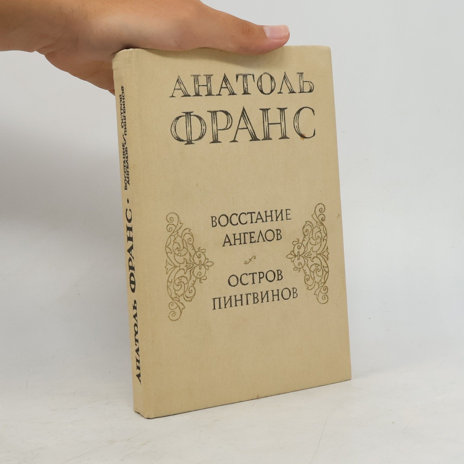 Восстание ангелов. Остров пингвинов