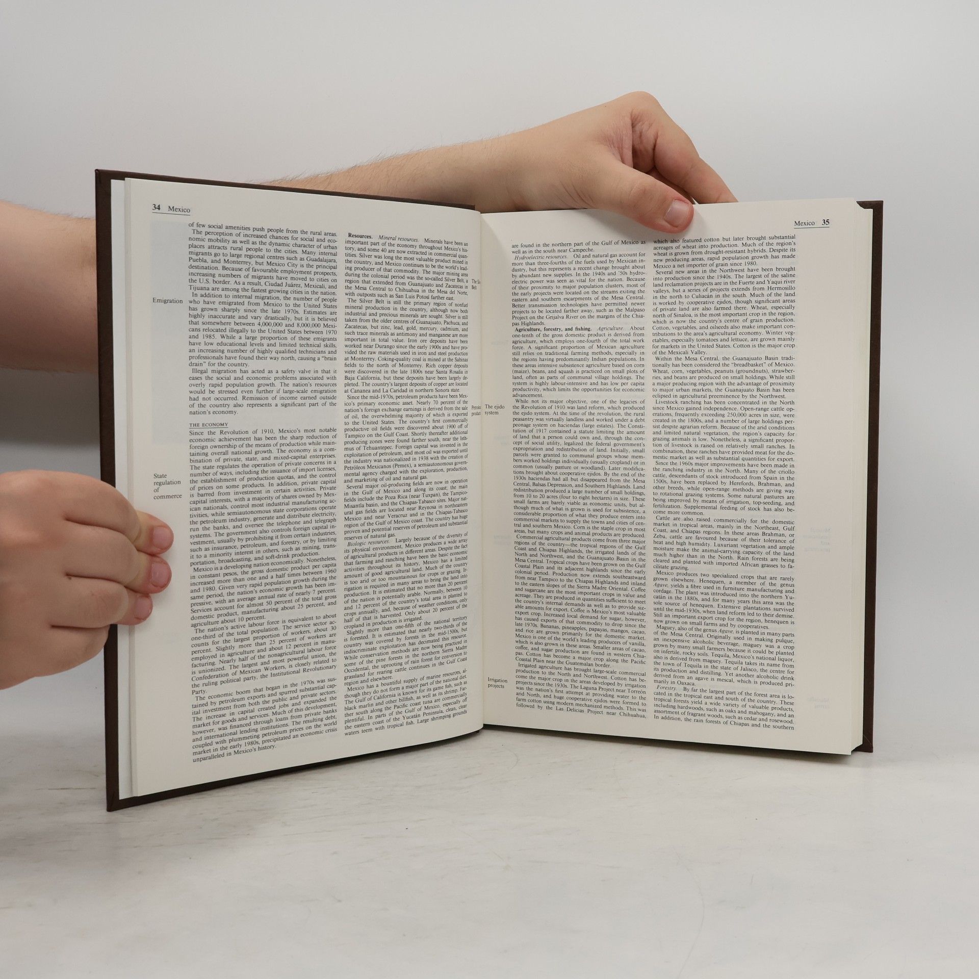 Philip W Goetz Macropædia: Knowledge in Depth - 24: Encyclopaedia Britannica, 1991 Set