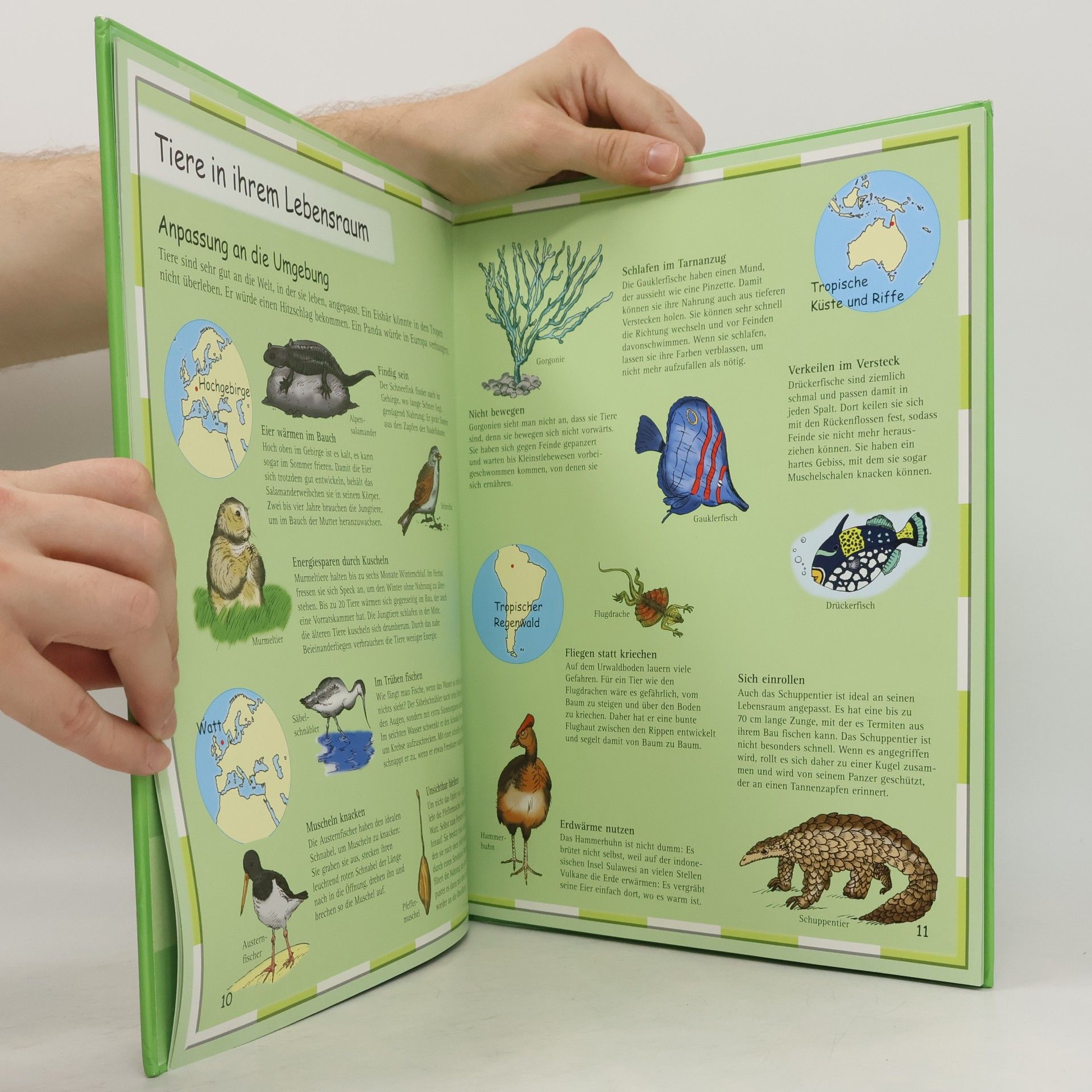 Ute Friesen Kinderatlas Tiere