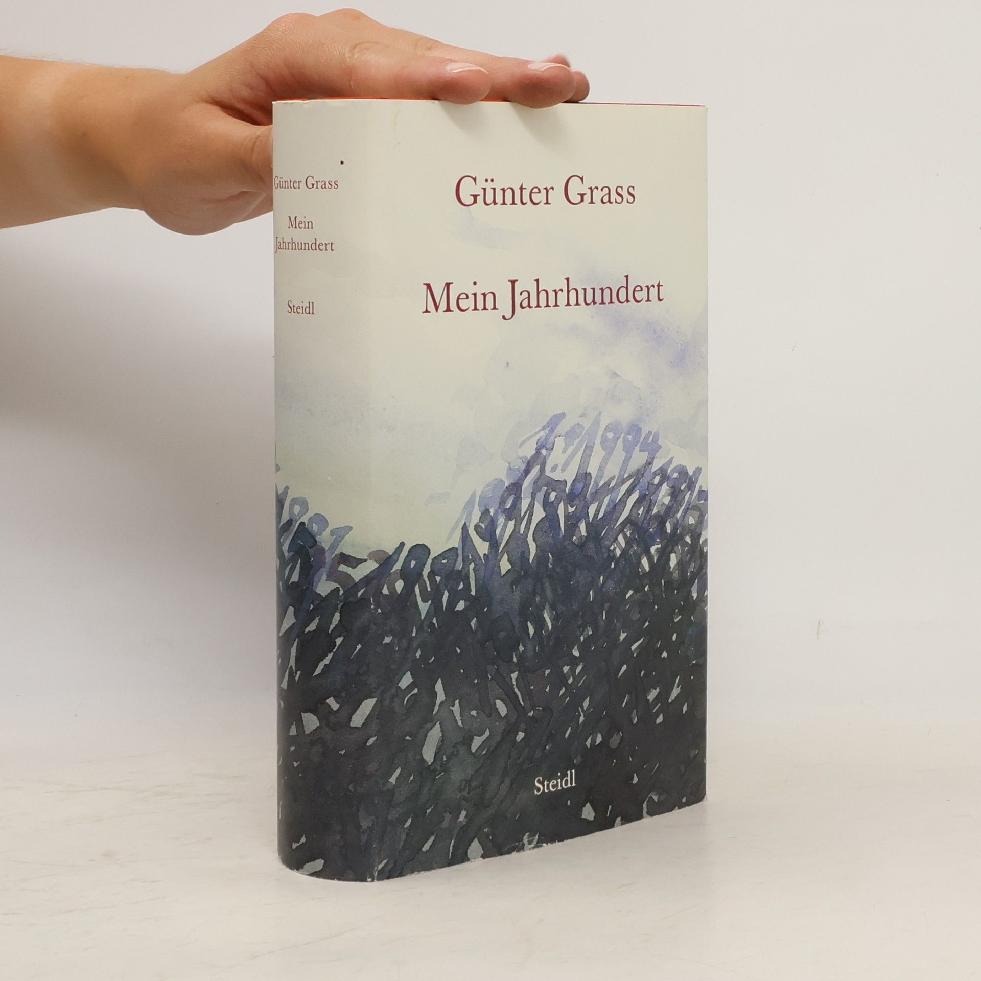 Günter Grass Mein Jahrhundert