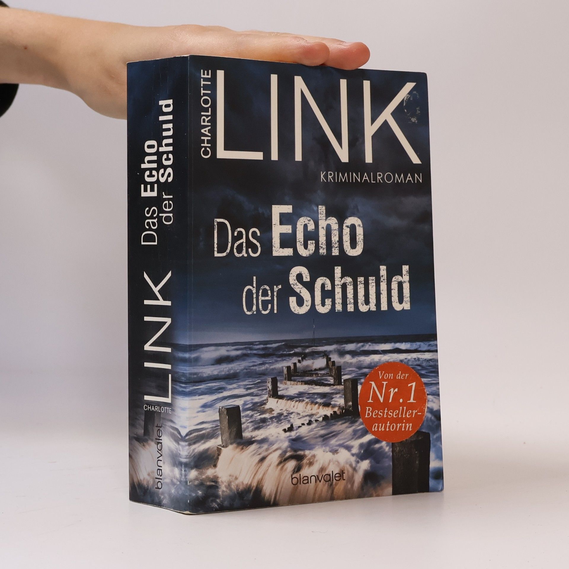 Charlotte Link Das Echo der Schuld
