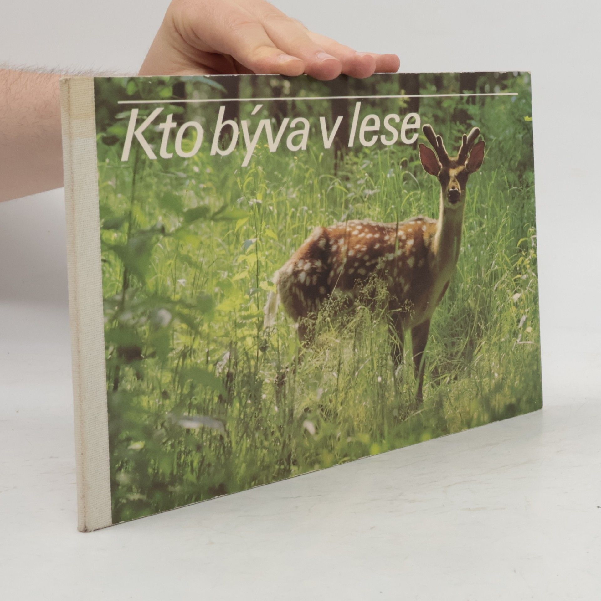 Zdeno Vlach Kto býva v lese