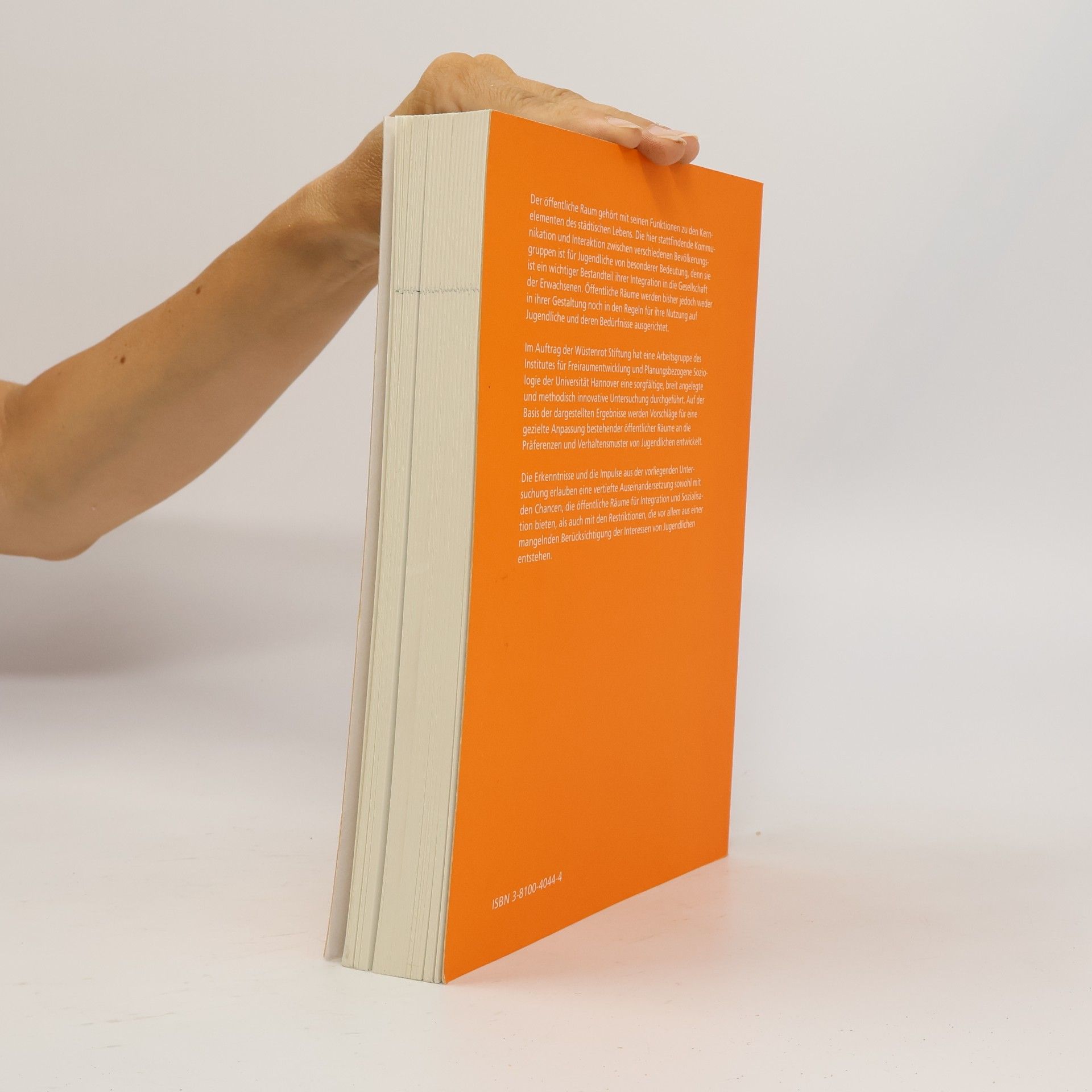 Ulfert Herlyn Jugendliche in öffentlichen Räumen der Stadt (German Edition)