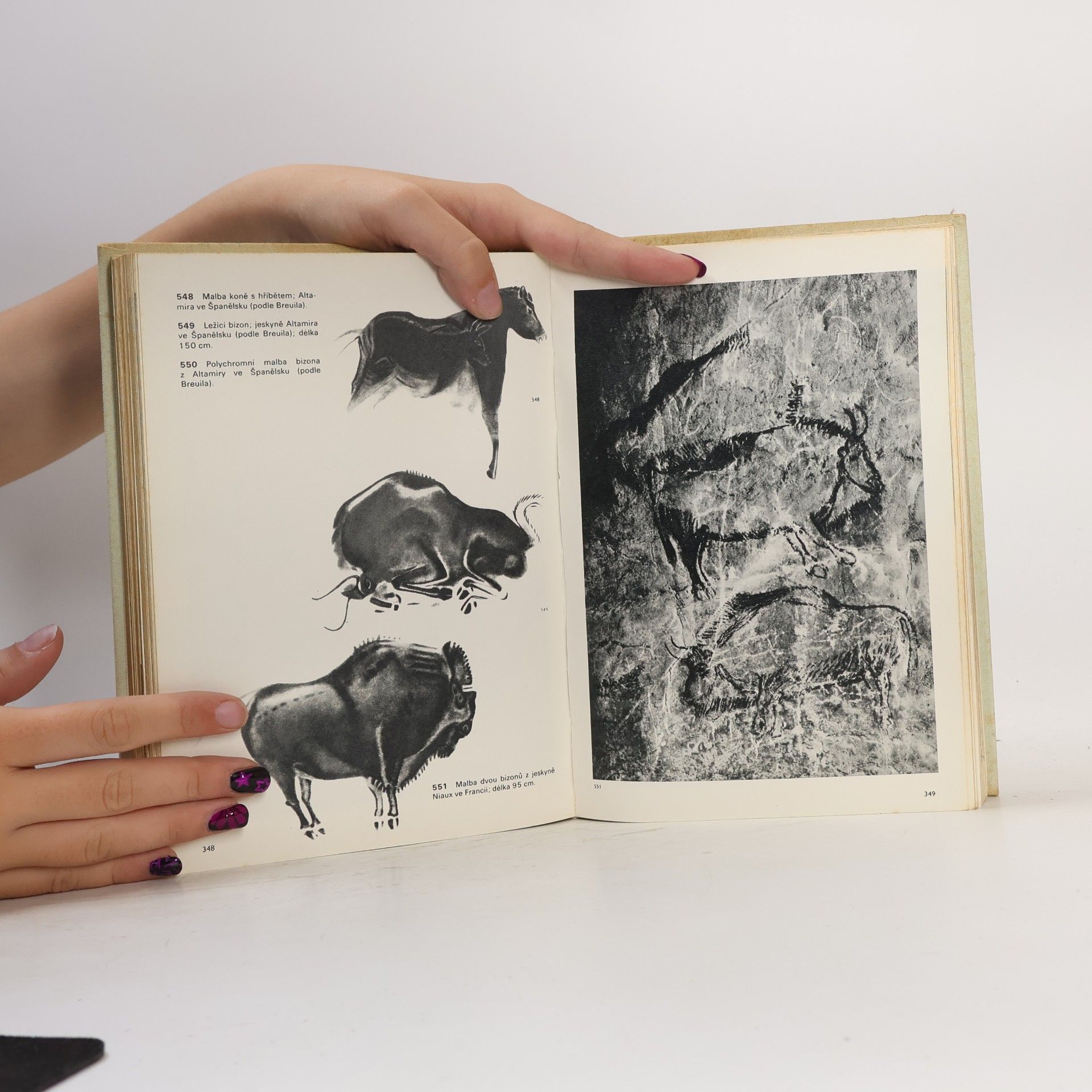 Jan Jelínek Velký obrazový atlas pravěkého člověka