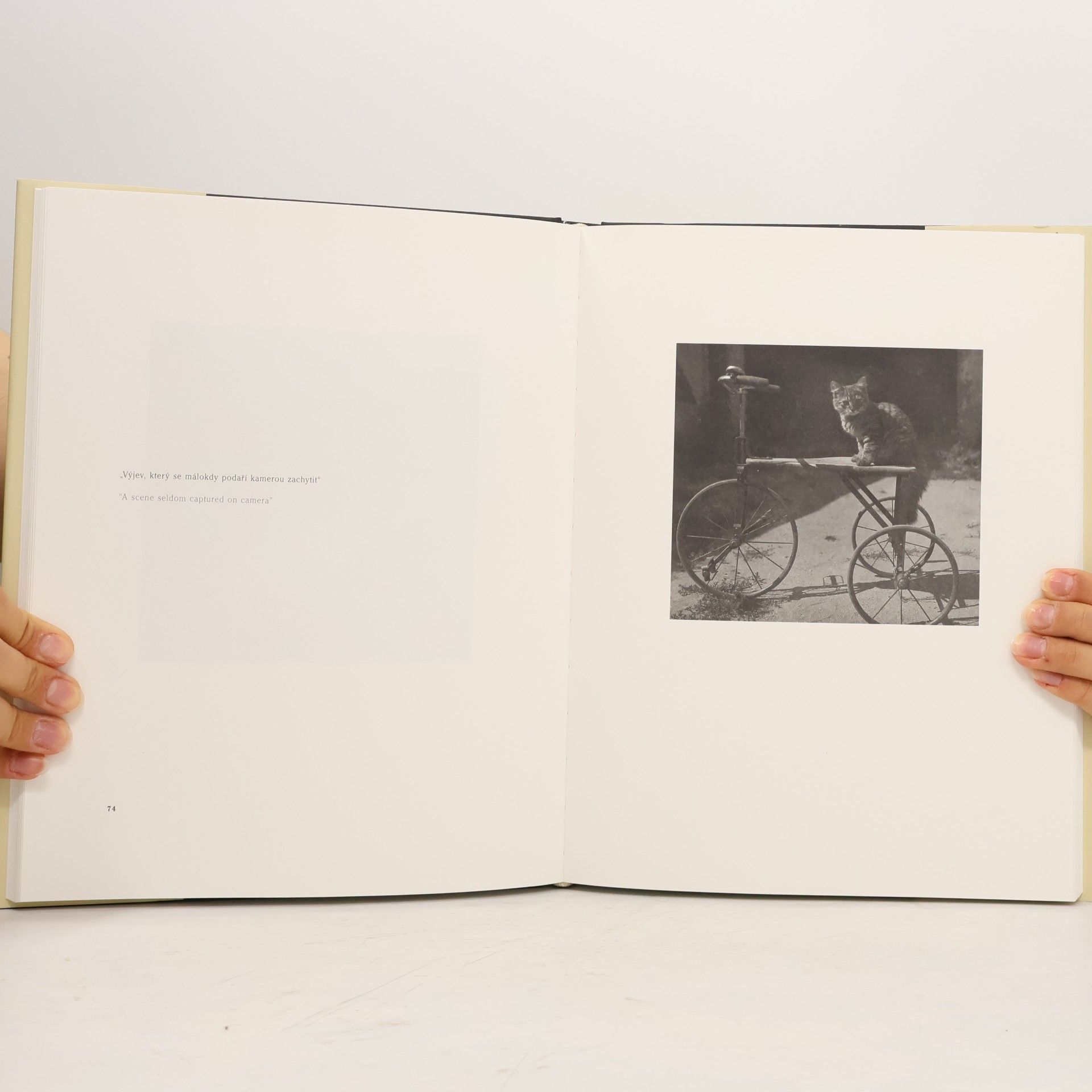 František Laudát Karel Čapek. Fotograf. Karel Čapek. Photographer