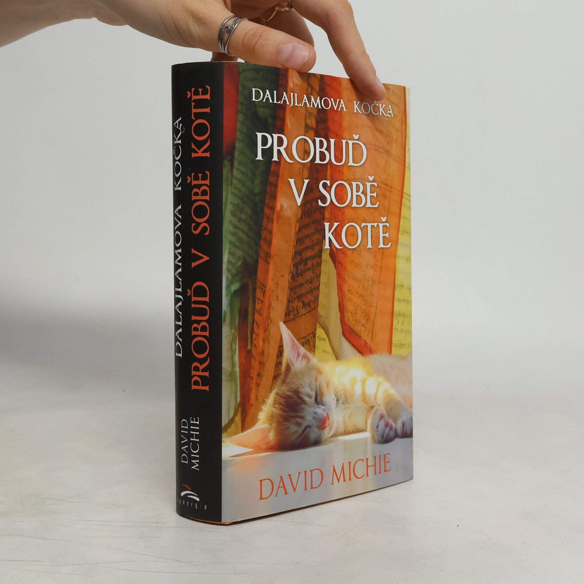 David Michie Dalajlamova kočka - probuď v sobě kotě