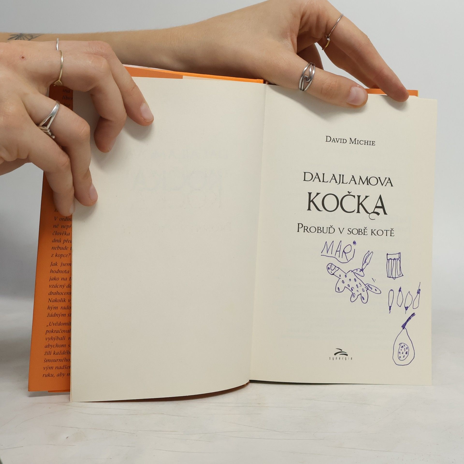 David Michie Dalajlamova kočka - probuď v sobě kotě