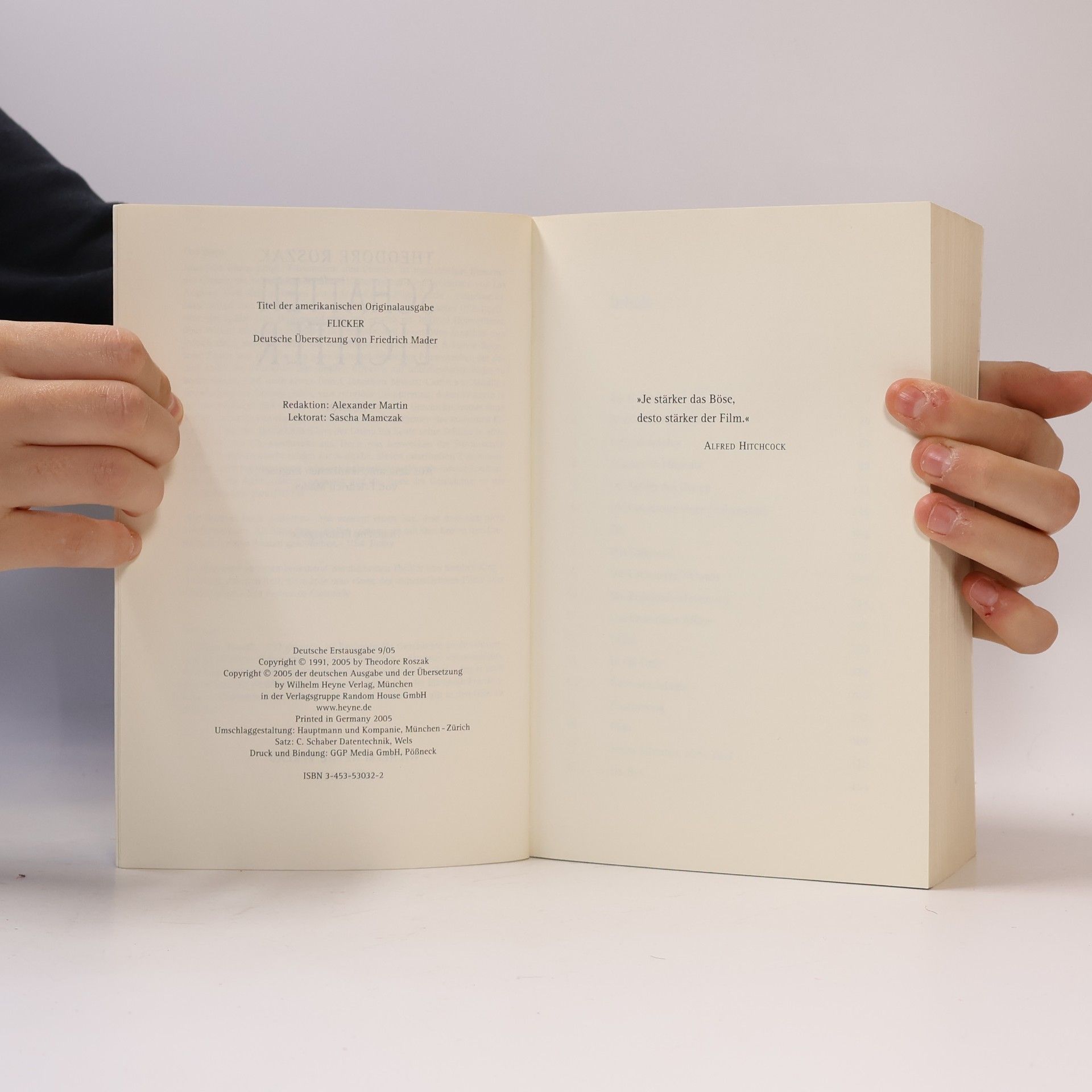 Siegbert Hafner Bilanzen richtig lesen und analysieren
