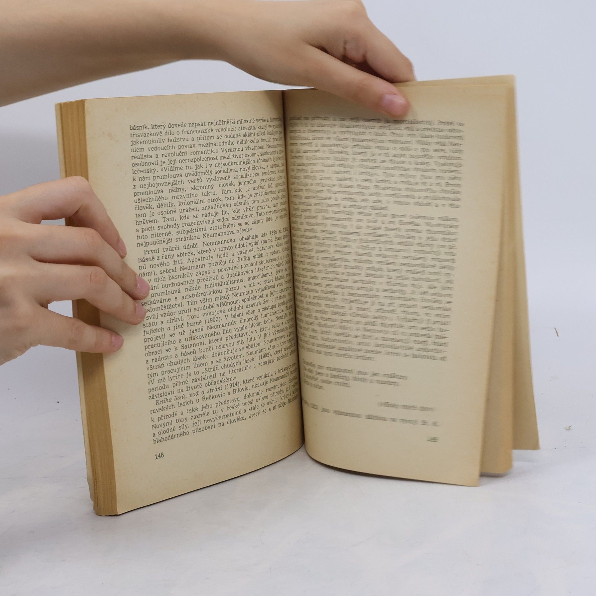 Kolektiv autorů Nástin dějin české literatury