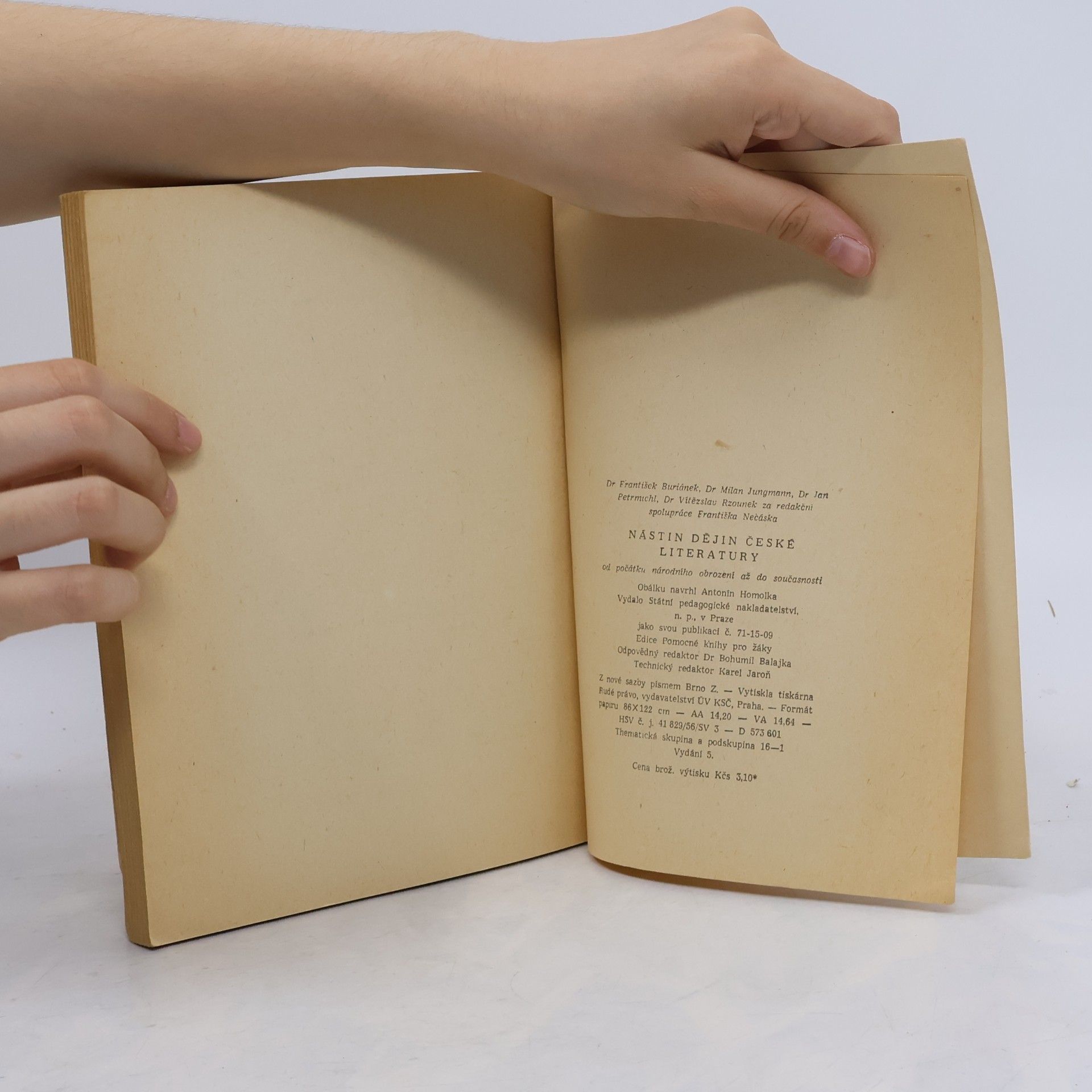 Kolektiv autorů Nástin dějin české literatury