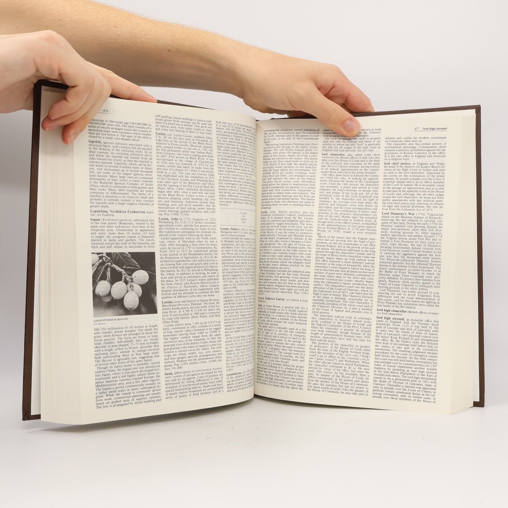 Philip W Goetz Macropædia: Knowledge in Depth - 24: Encyclopaedia Britannica, 1991 Set