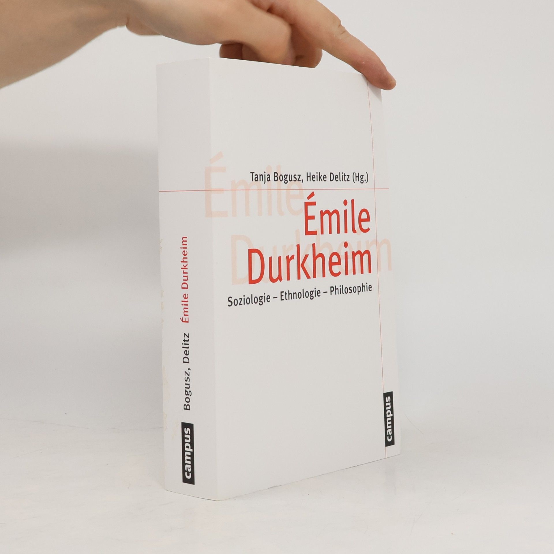 Heike Delitz Émile Durkheim